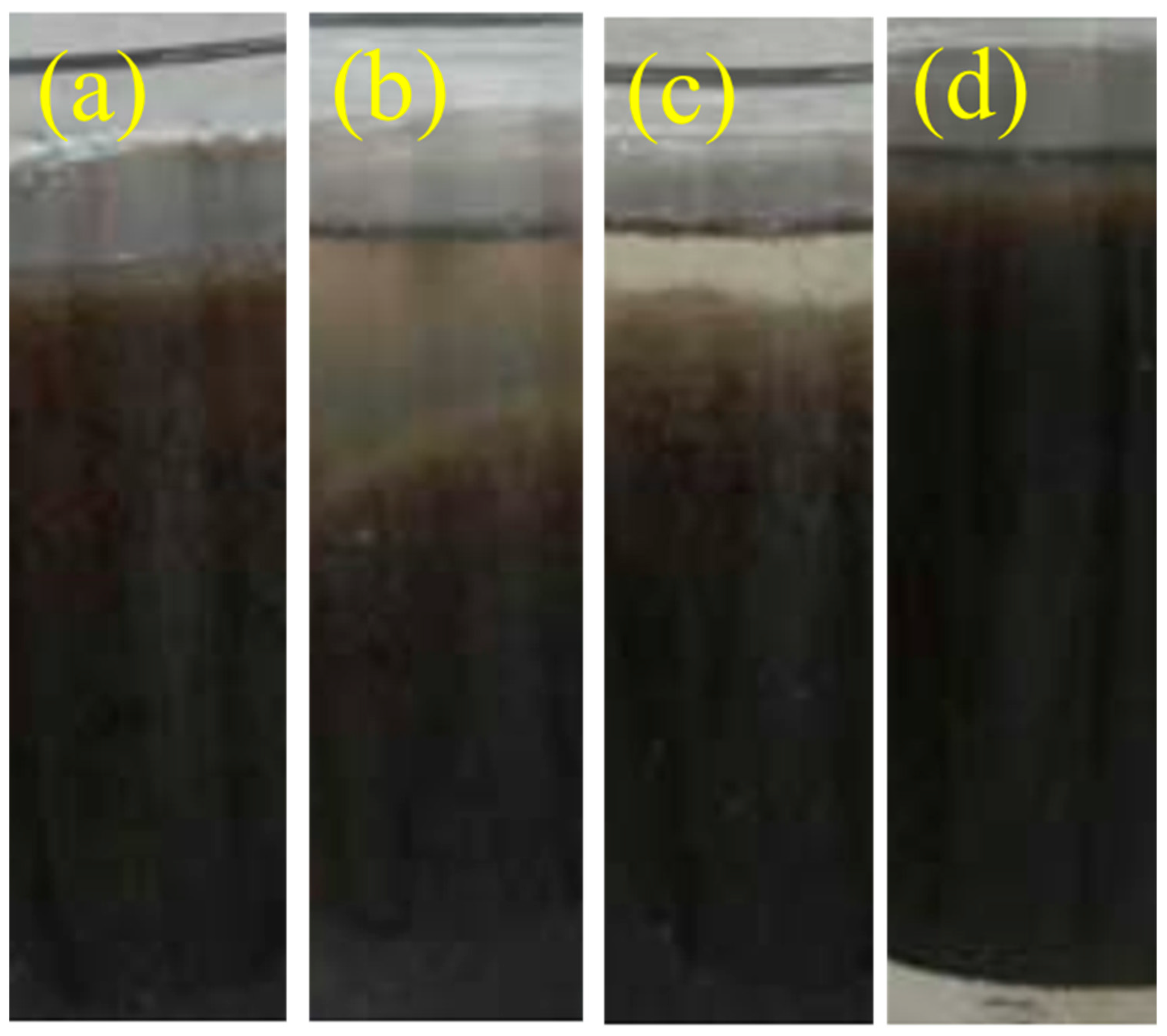 Sustainability 15 12875 g001