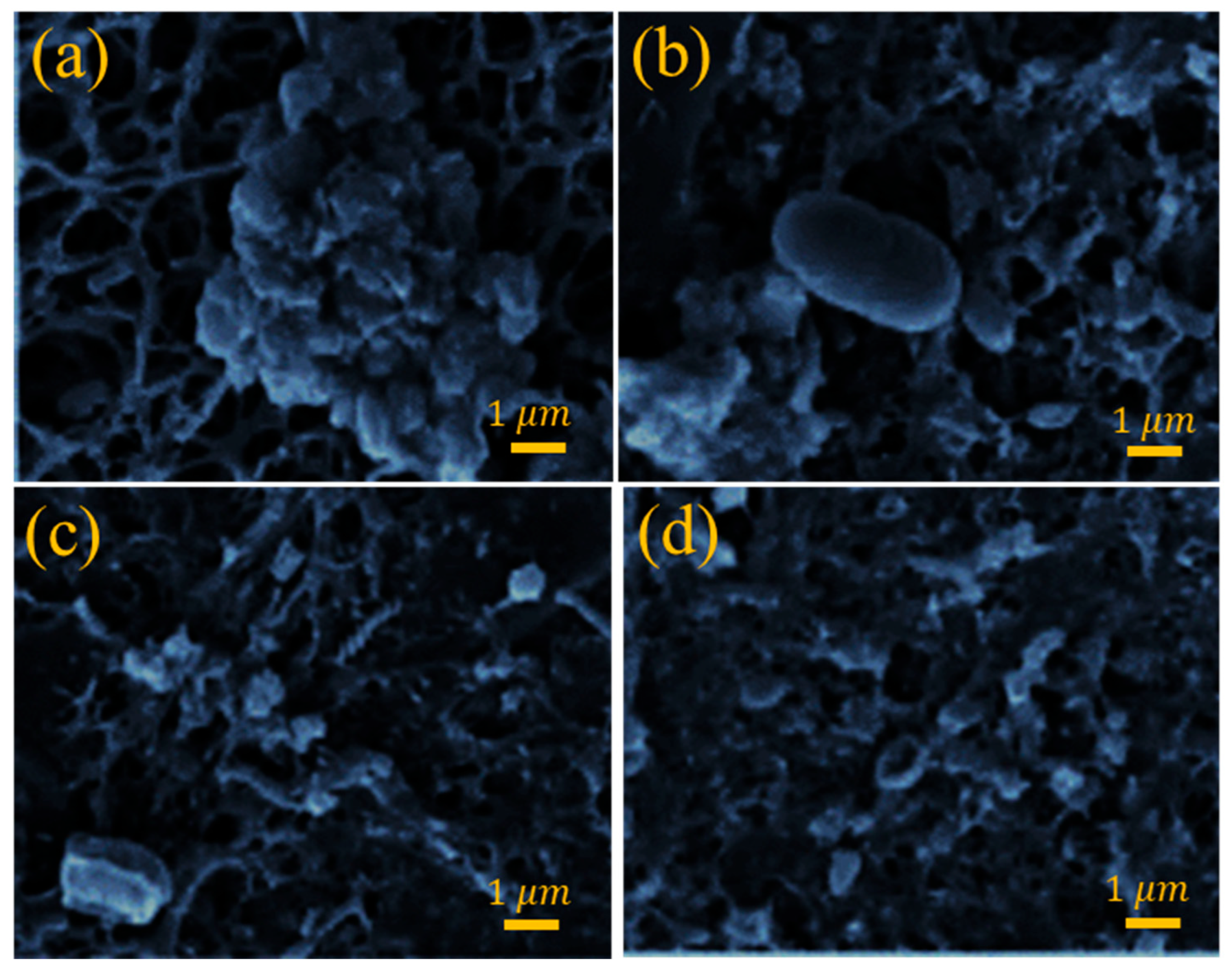 Sustainability 15 12875 g008