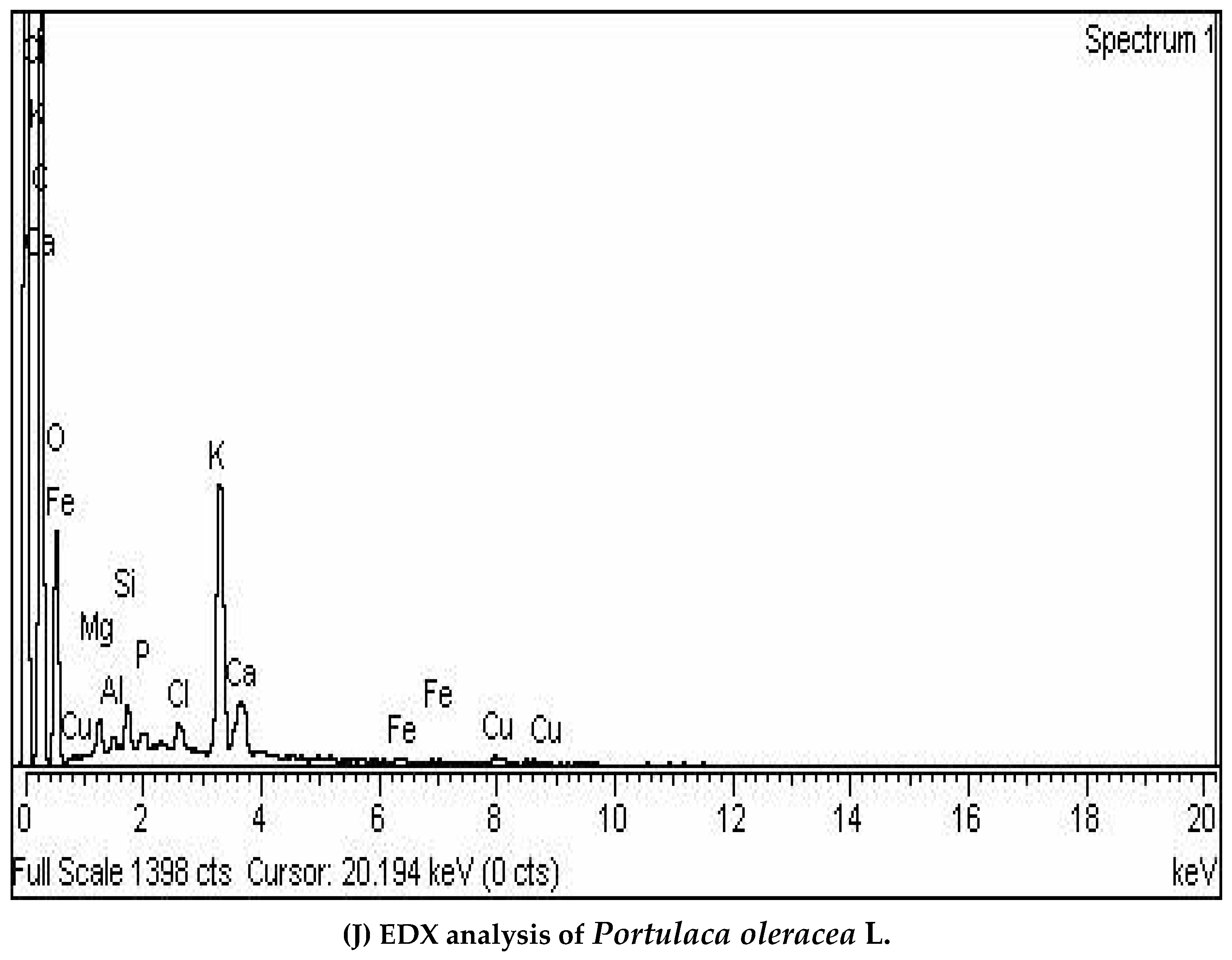 Sustainability 15 12881 g007f