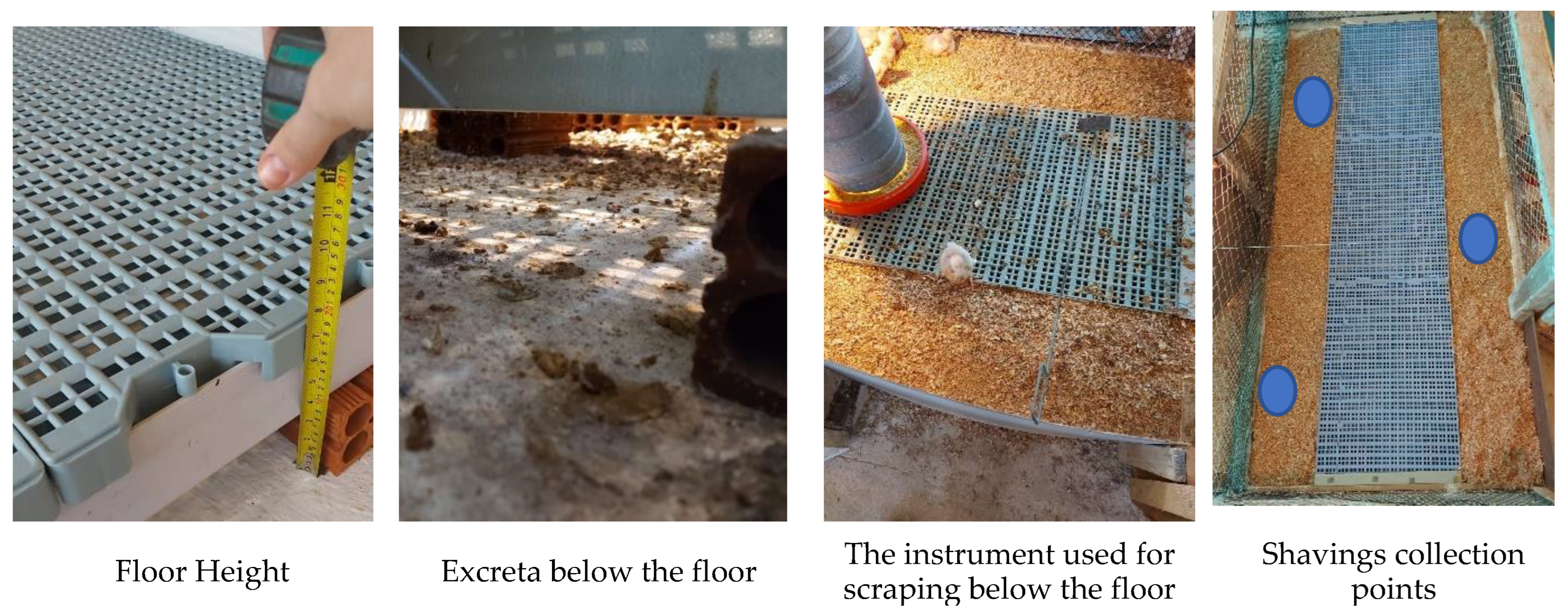 Sustainability 15 12896 g002