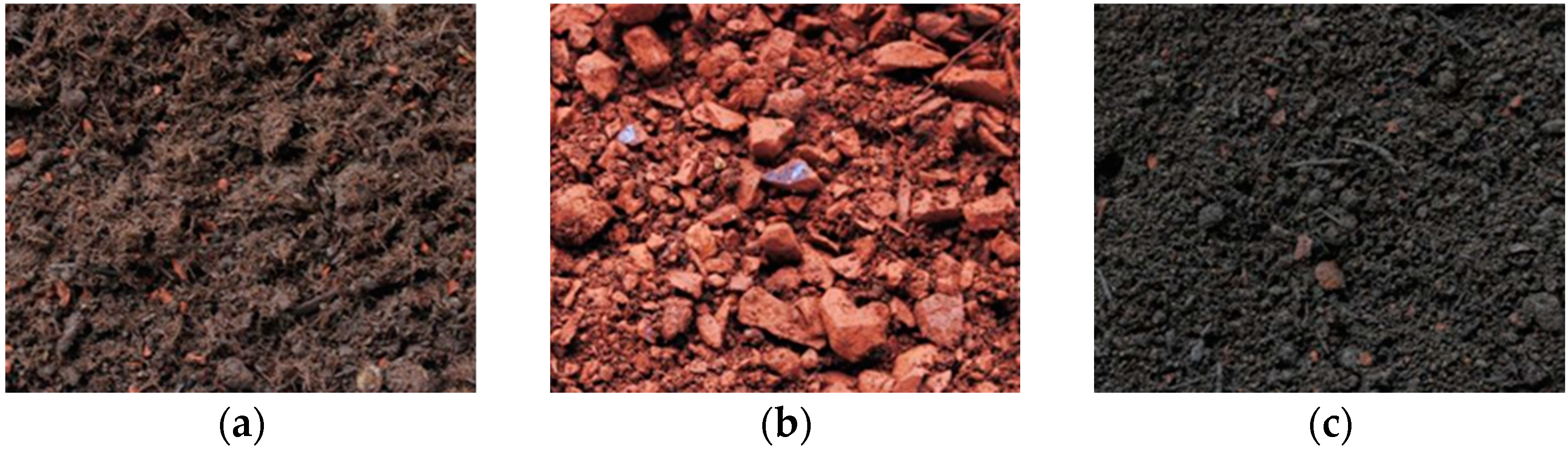 Sustainability 15 12898 g016