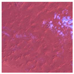 Sustainability 15 12931 i014