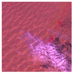 Sustainability 15 12931 i024