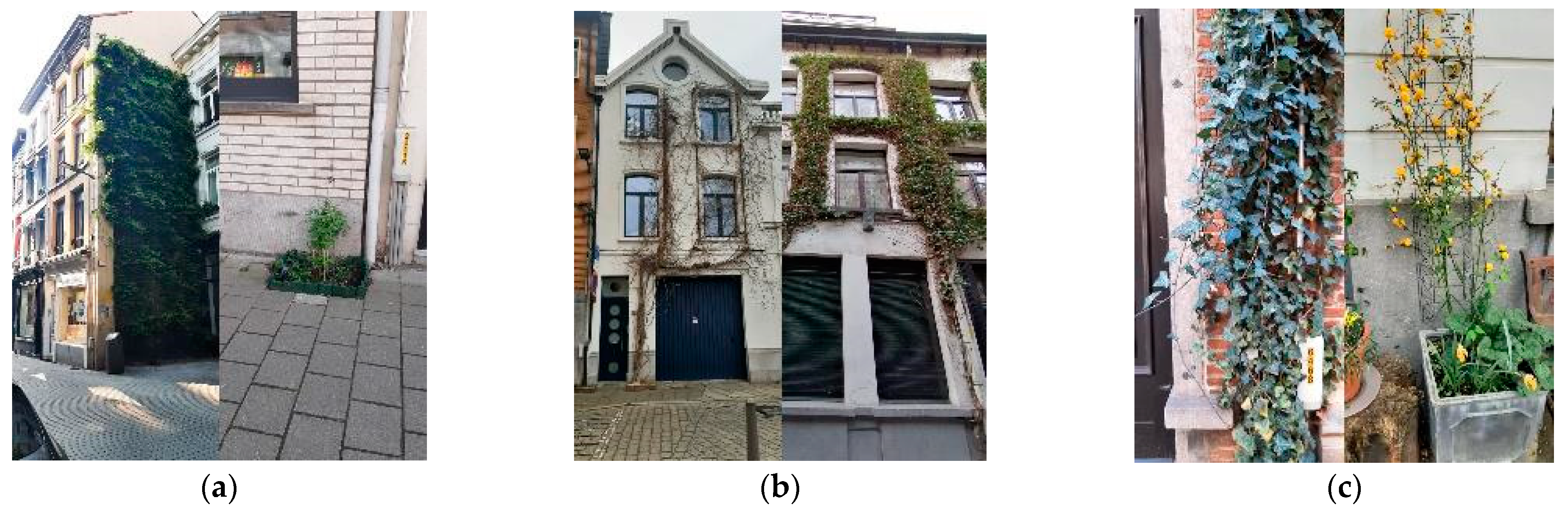 Sustainability 15 12987 g002