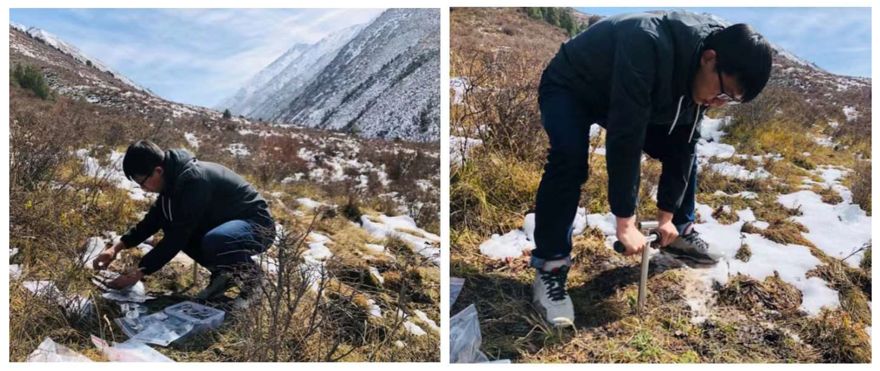 Sustainability 15 13028 g003