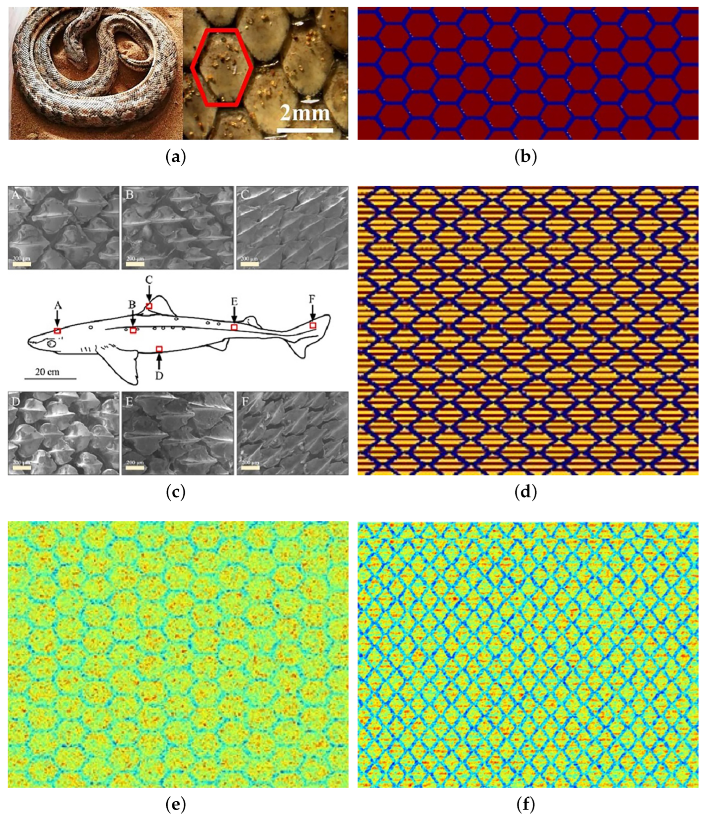 Sustainability 15 13054 g001
