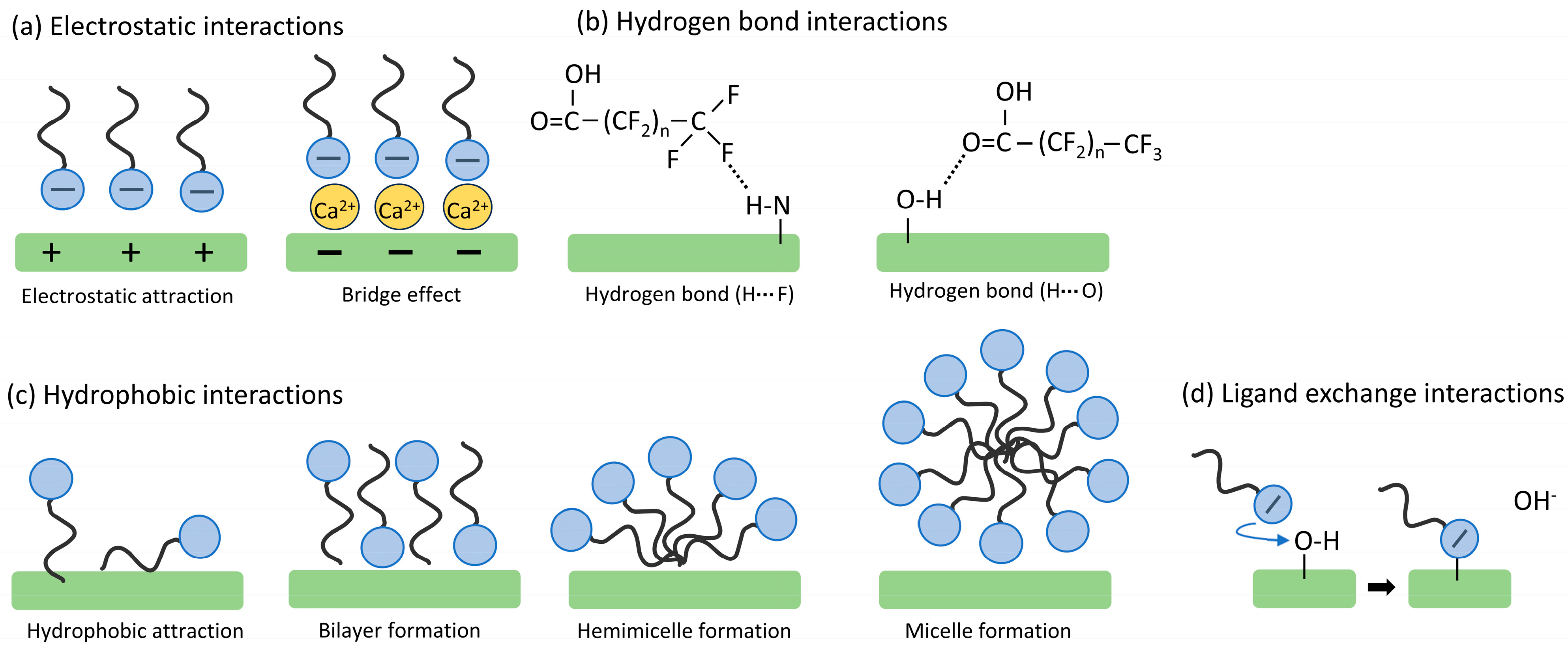 Sustainability 15 13056 g002