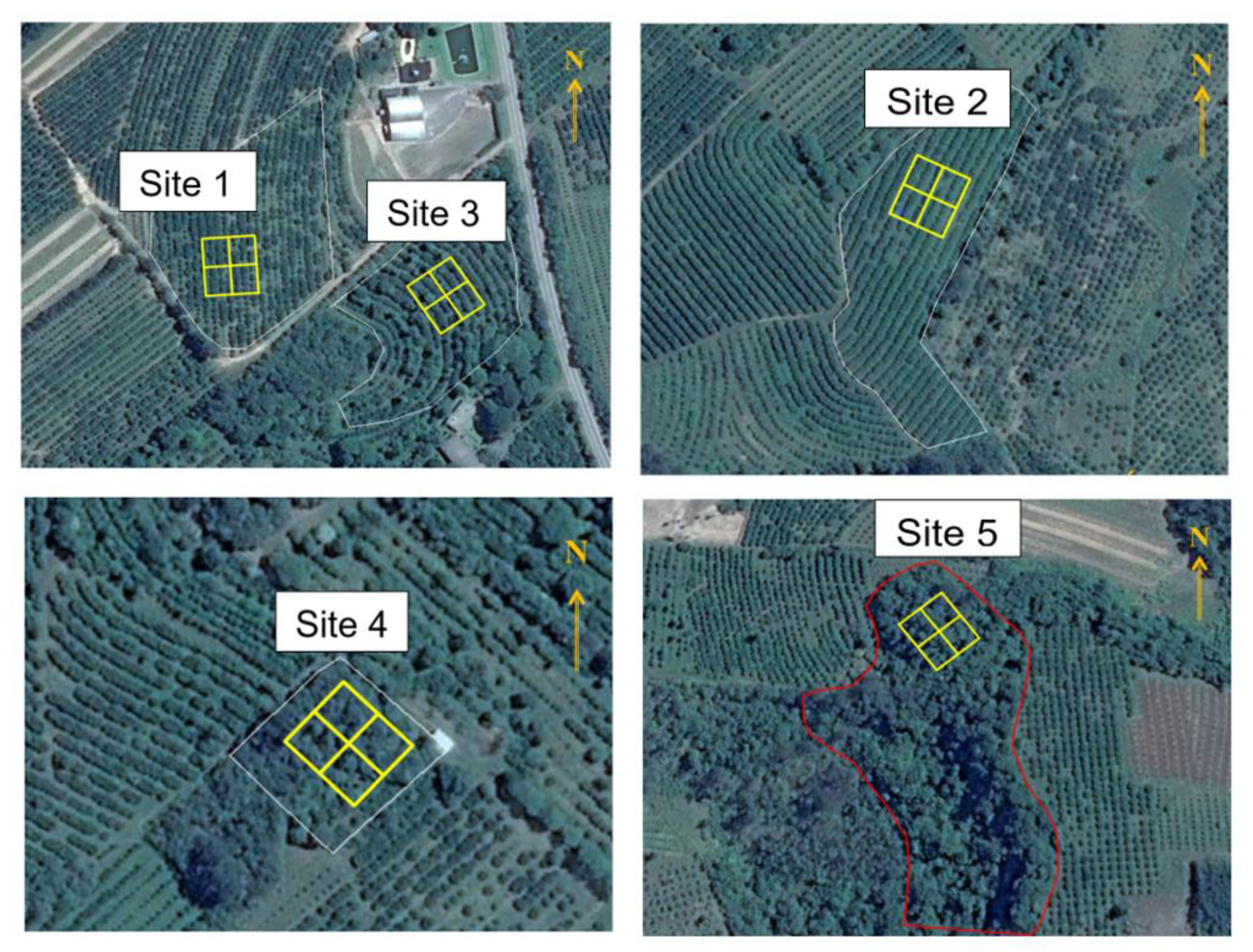 Sustainability 15 13060 g001