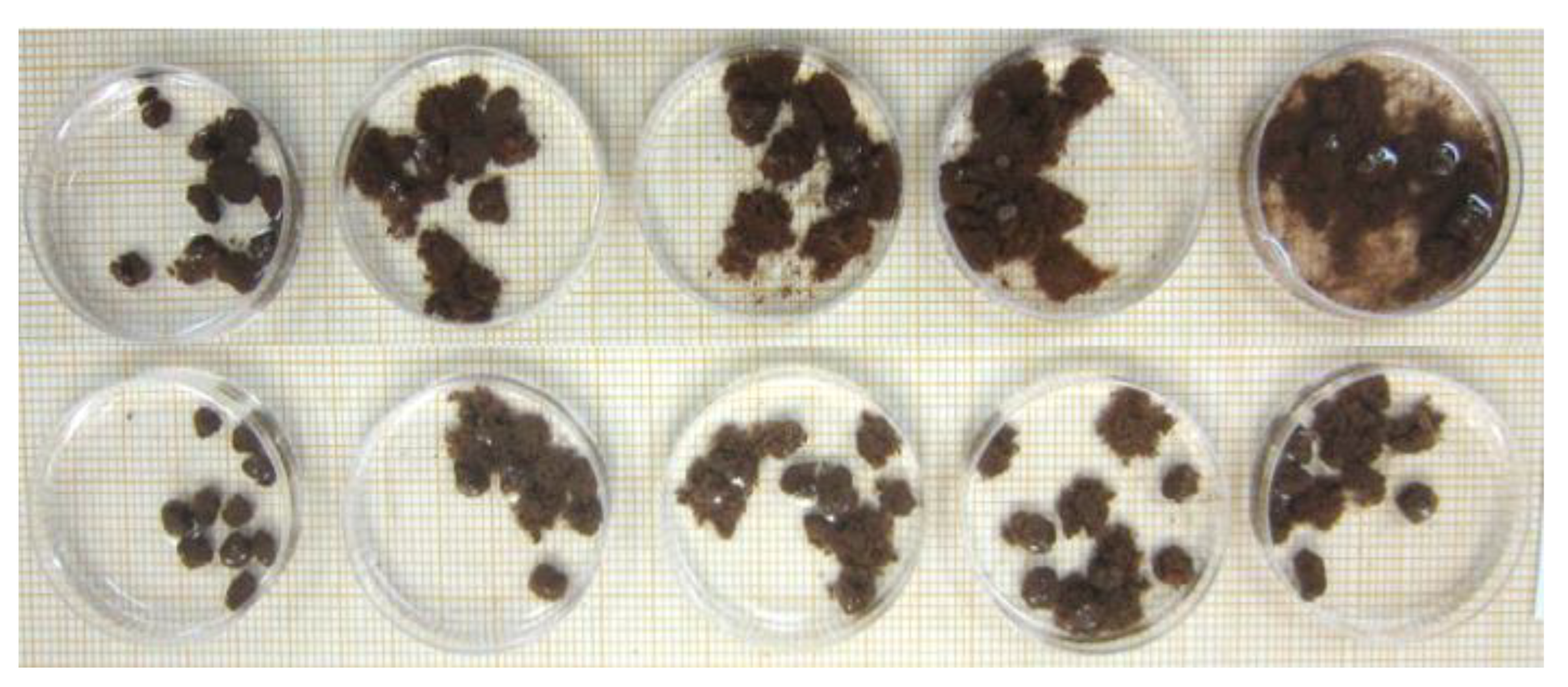 Sustainability 15 13060 g003