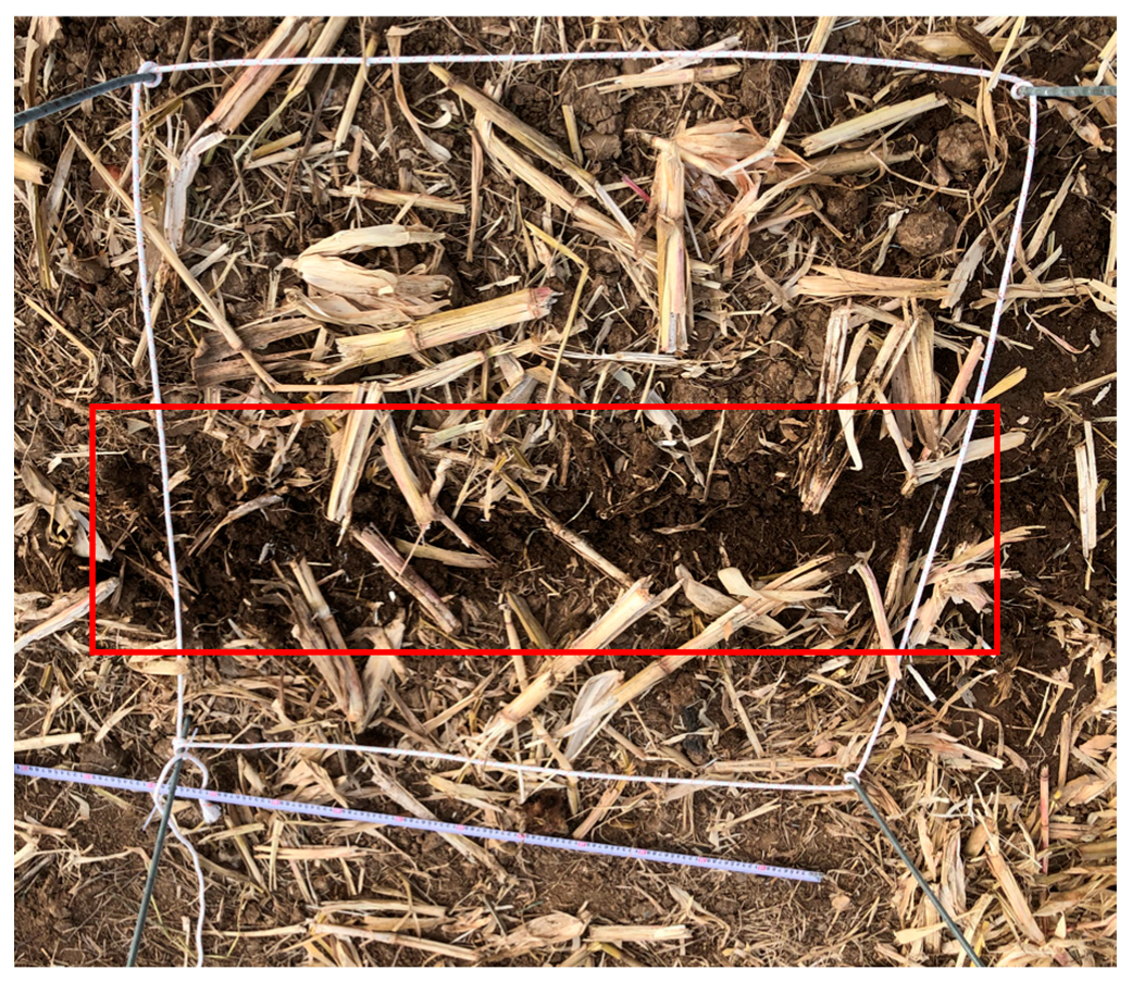 Sustainability 15 13065 g012