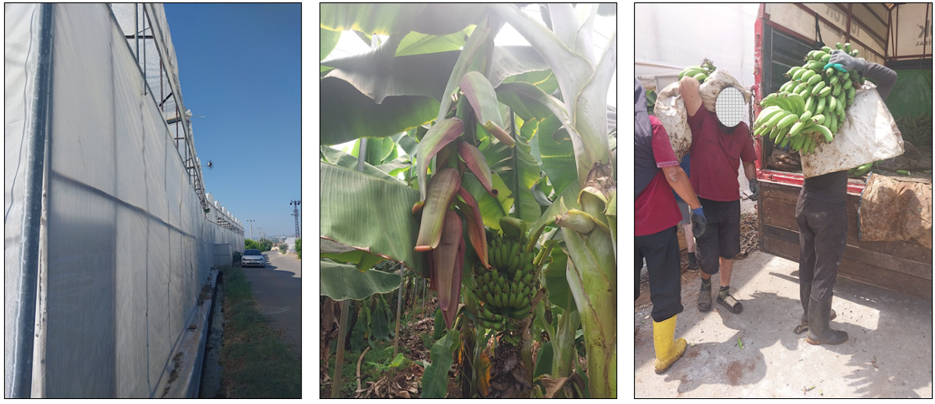 Sustainability 15 13066 g001