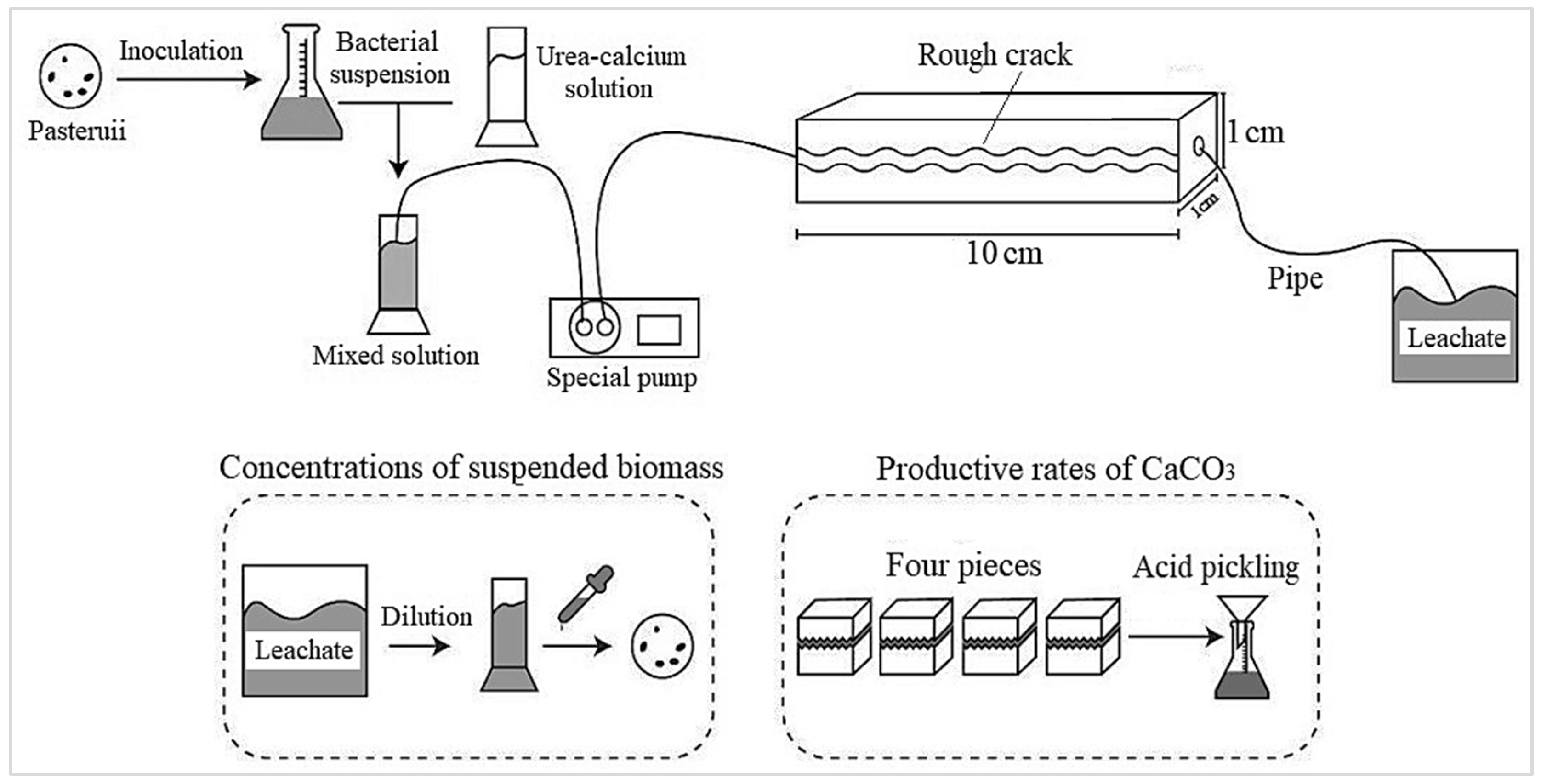 Sustainability 15 13122 g002