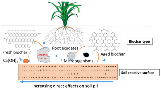 Biochar-Acid Soil Interactions—A Review