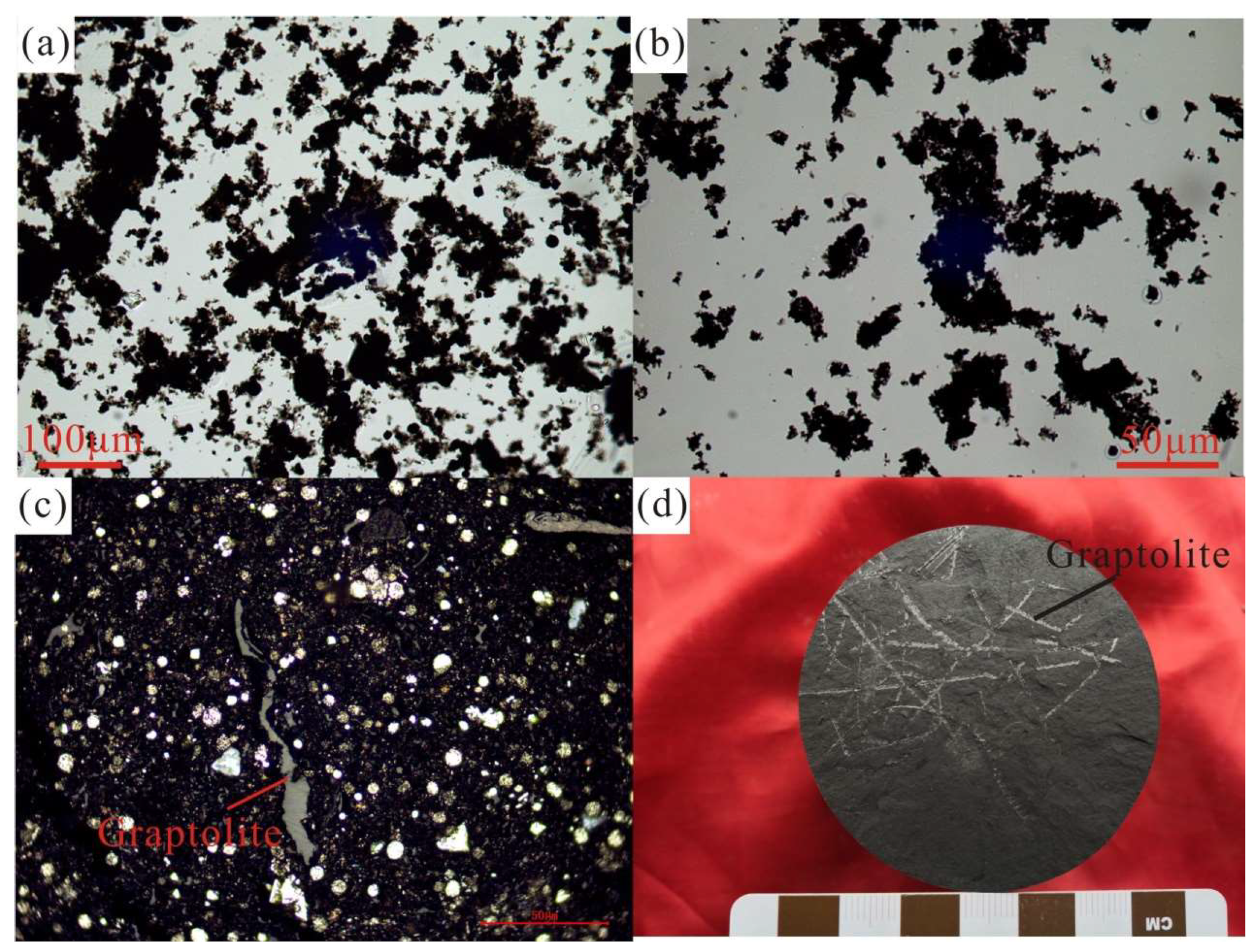 Sustainability 15 13438 g003