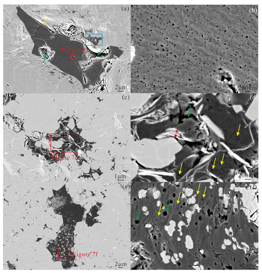 Organic Matter of the Wufeng–Longmaxi Formation Shales Using