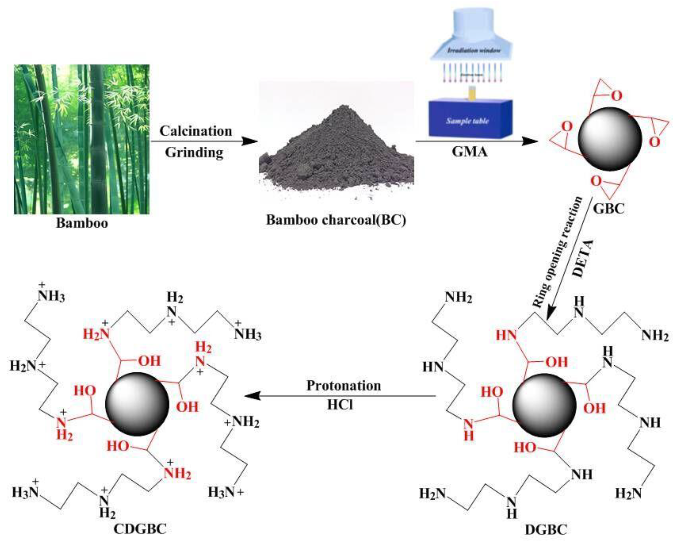 Sustainability 15 13560 sch001