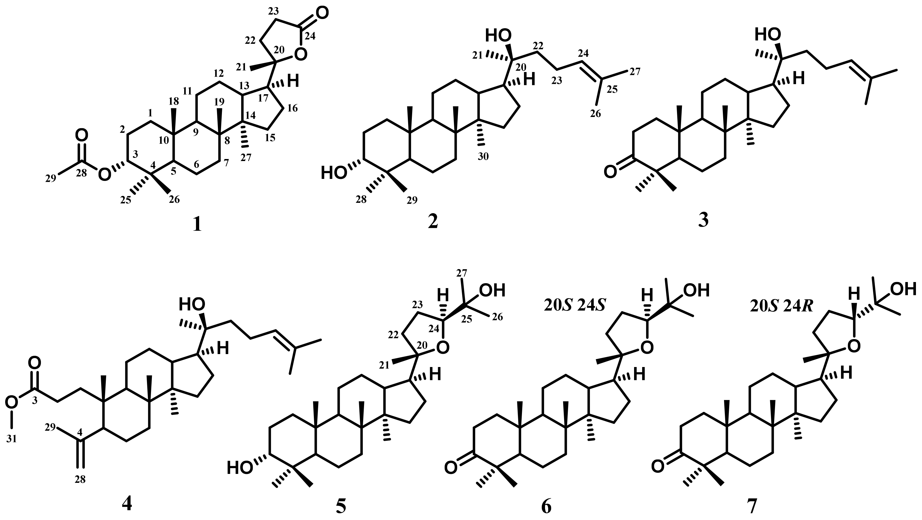 Sustainability 15 13565 g001