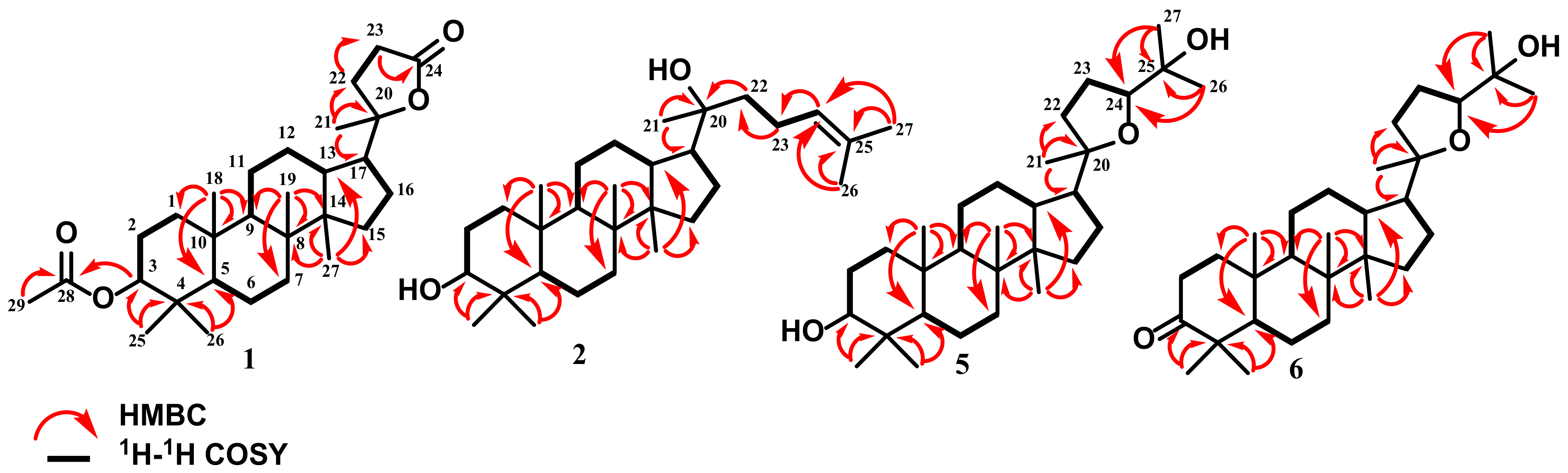 Sustainability 15 13565 g002