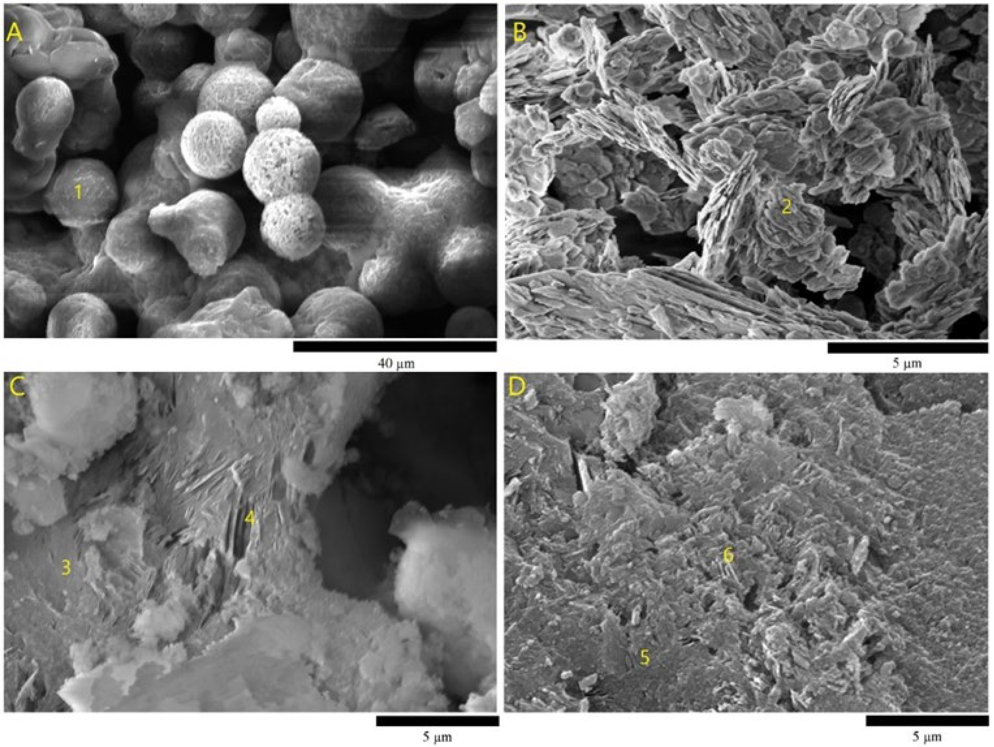 Sustainability 15 13608 g005