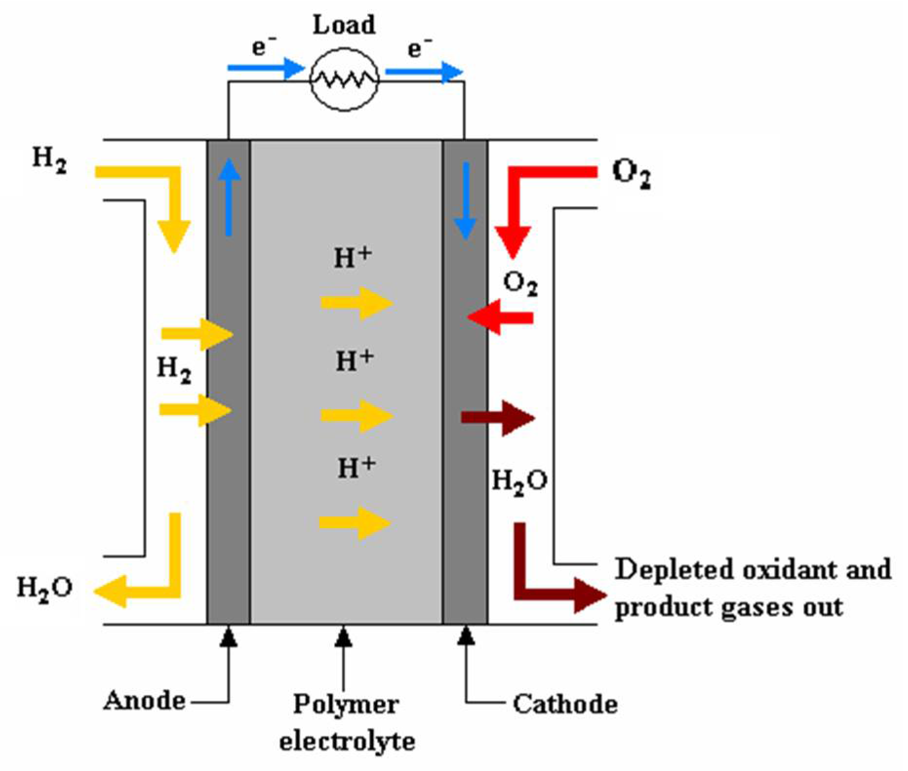 Sustainability 15 13609 g001 Sustainability 15 13609 g001