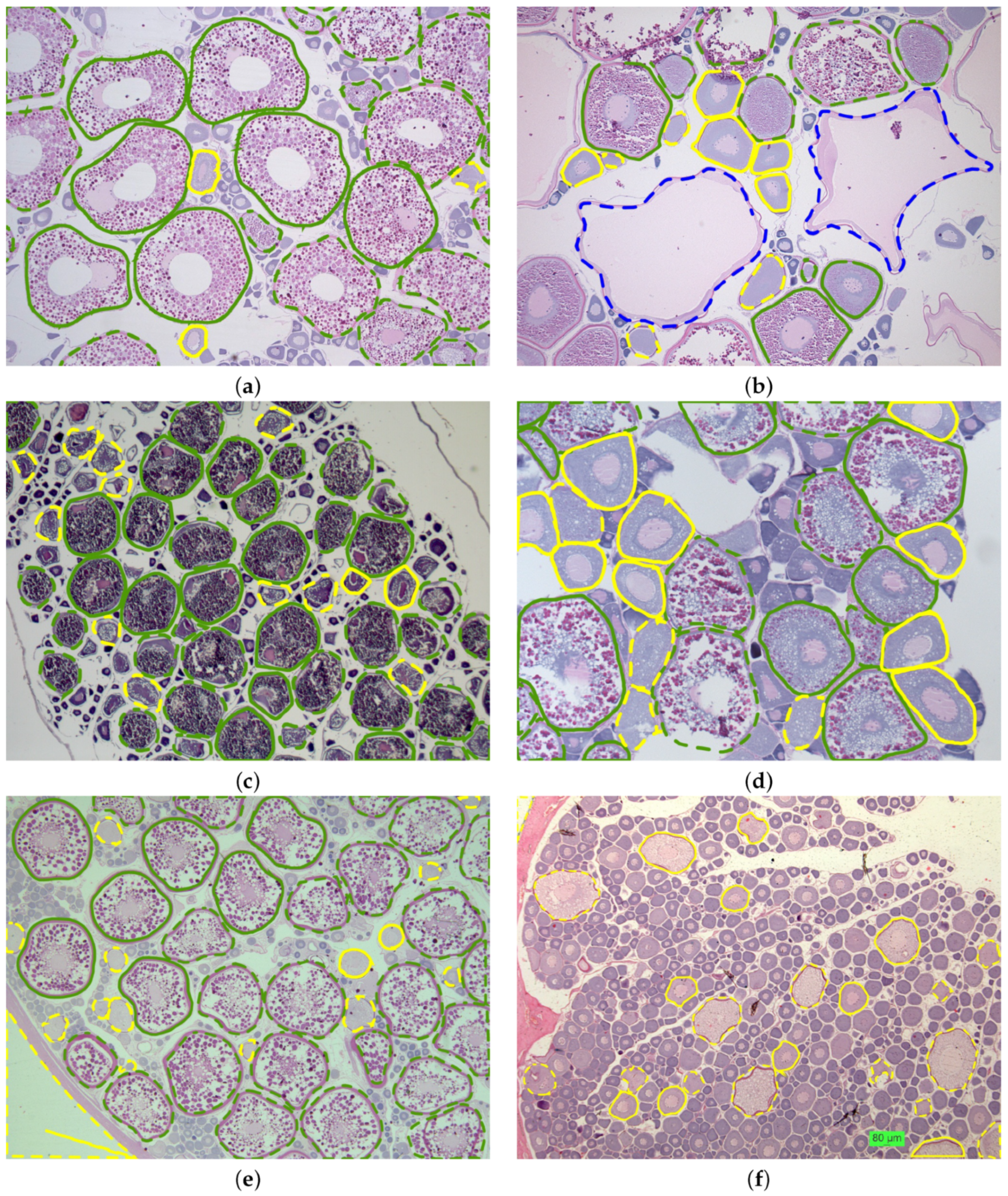 Sustainability 15 13693 g001