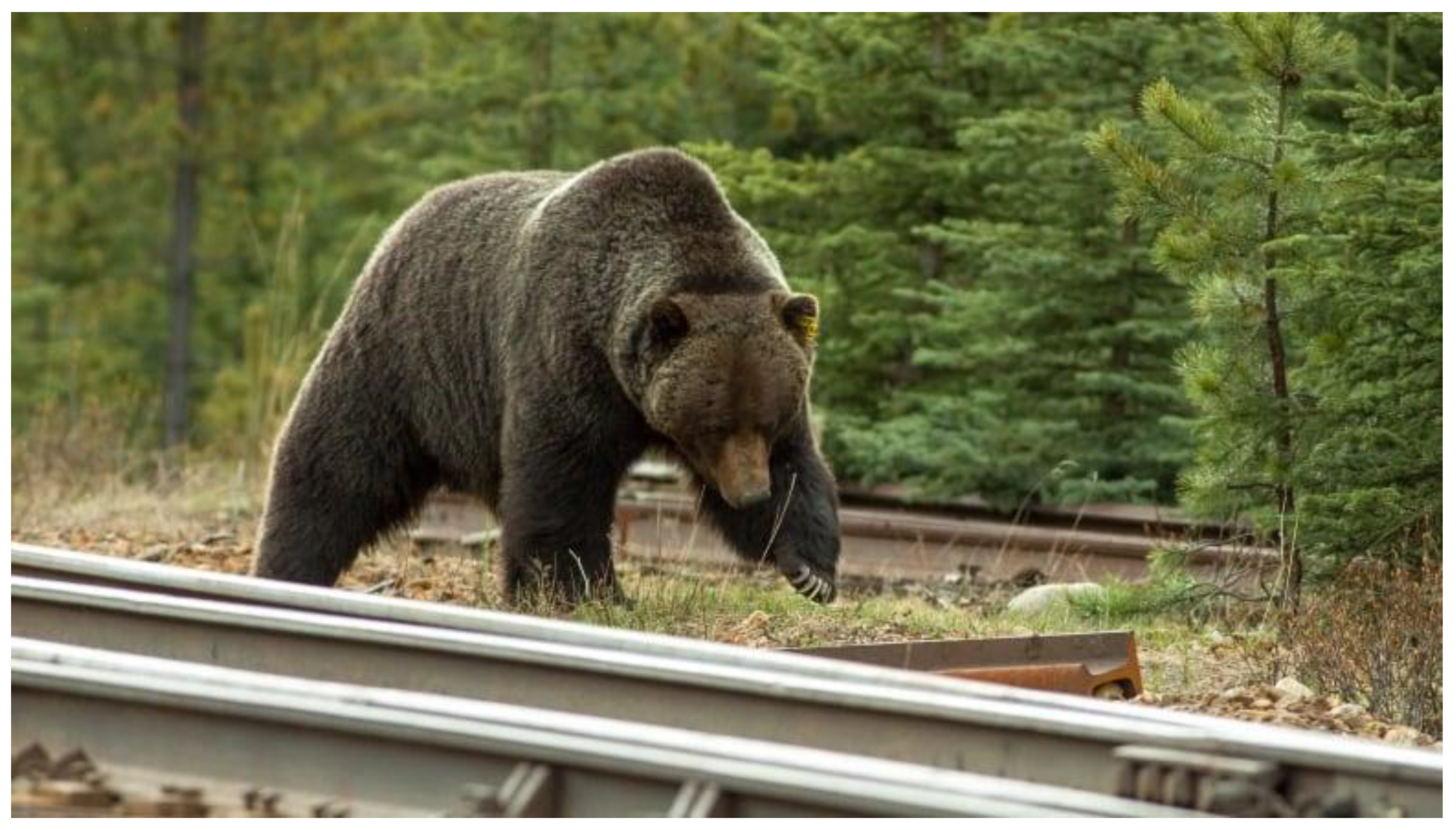 Sustainability 15 13754 g003 Sustainability 15 13754 g003