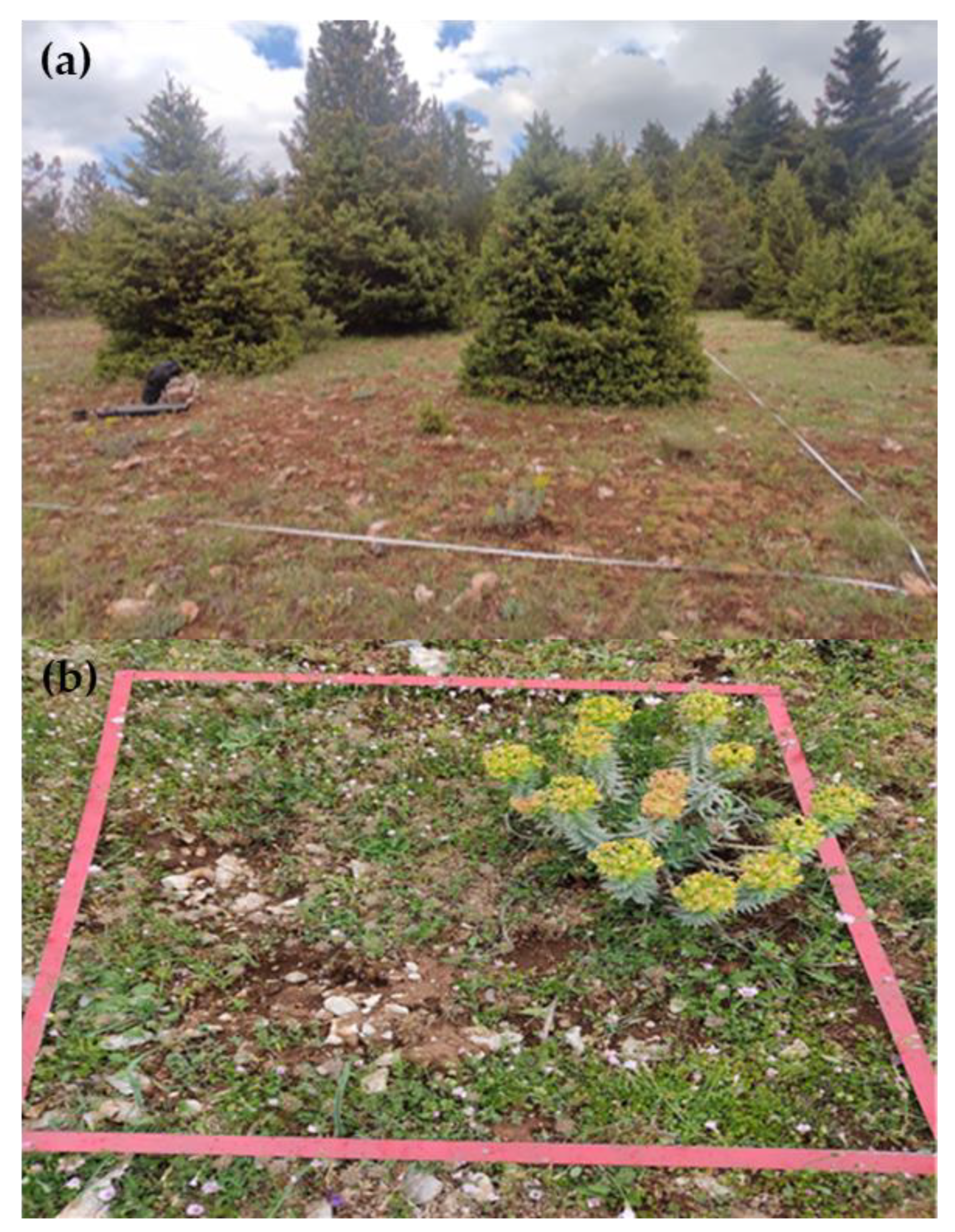 Sustainability 15 13765 g003