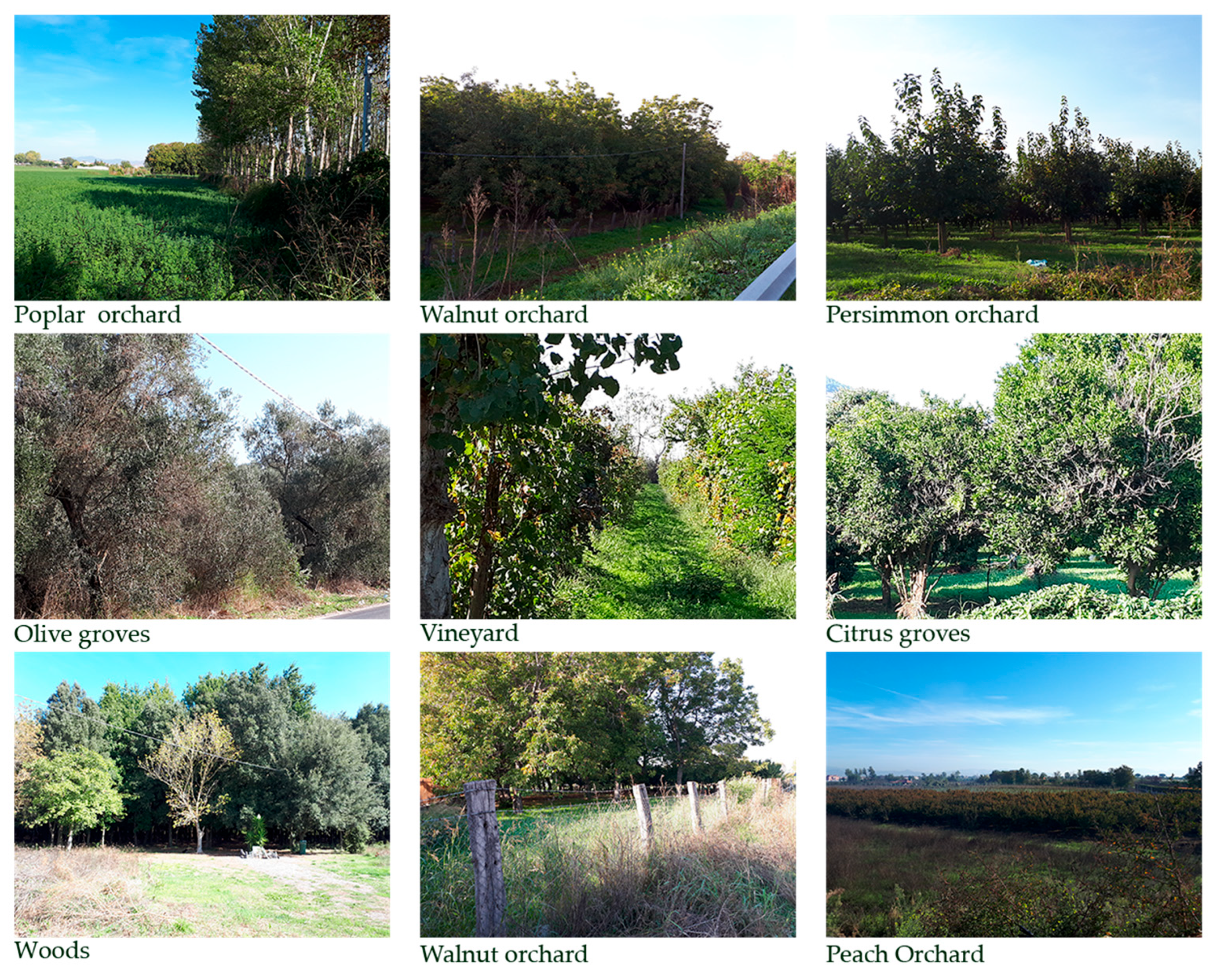 Sustainability 15 13786 g005