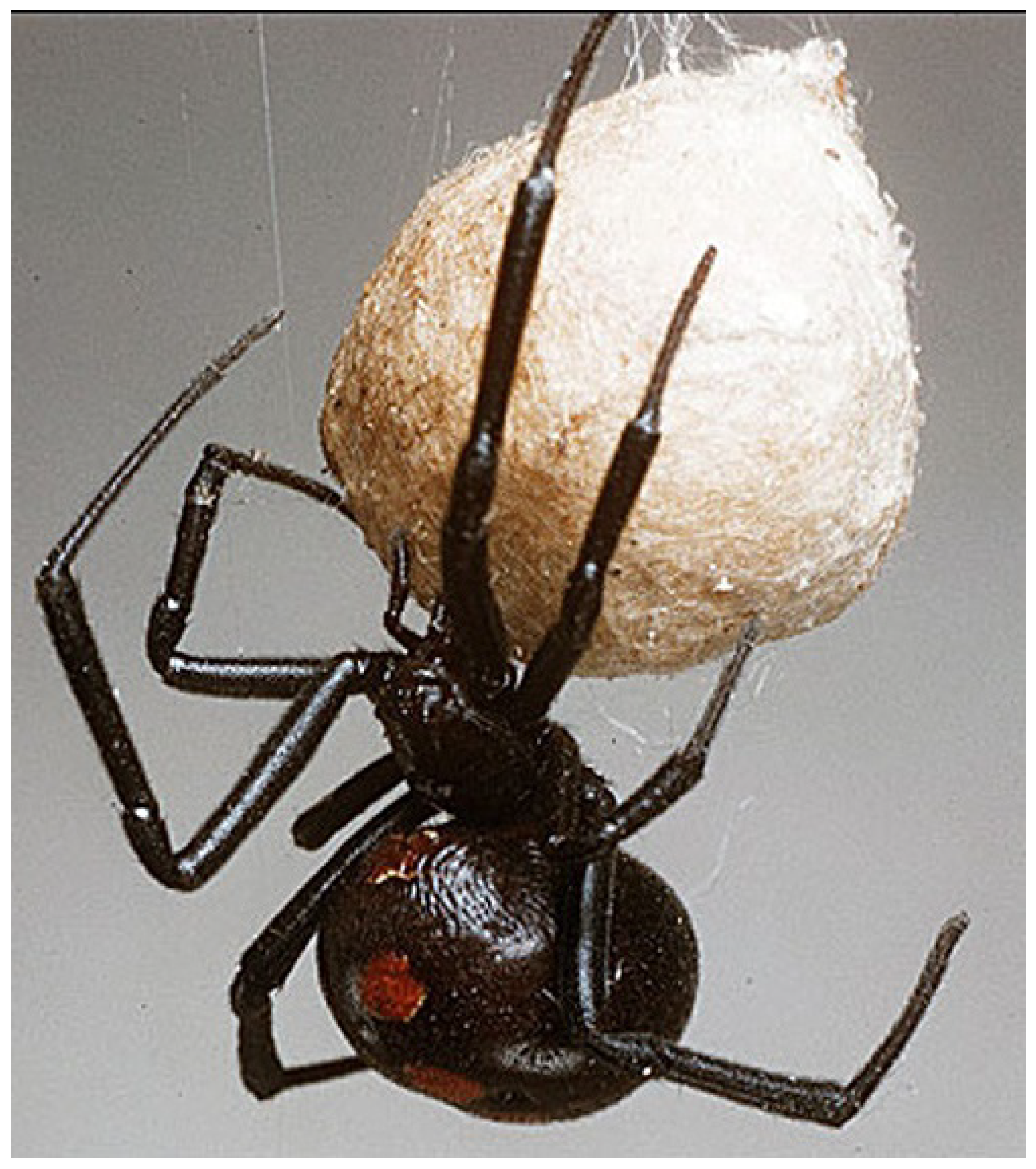 Sustainability 15 13823 g005