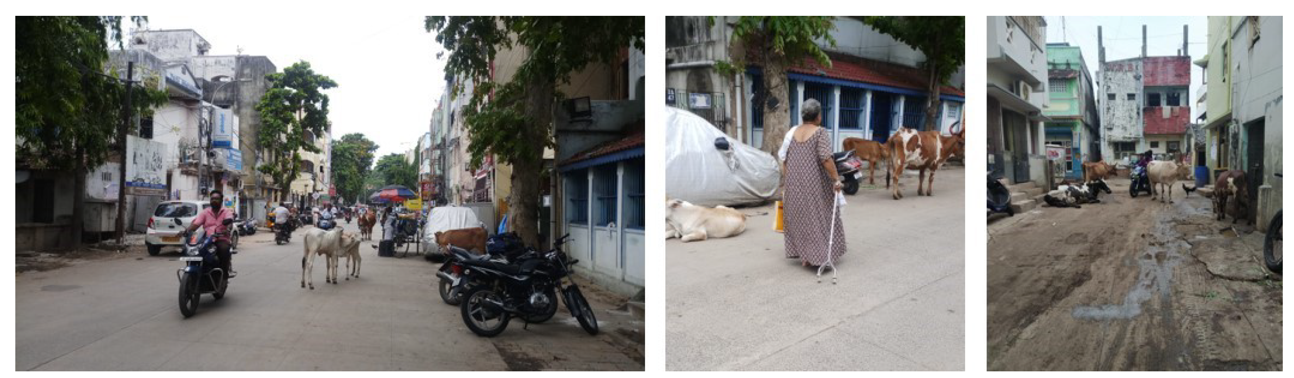 Sustainability 15 13868 g007