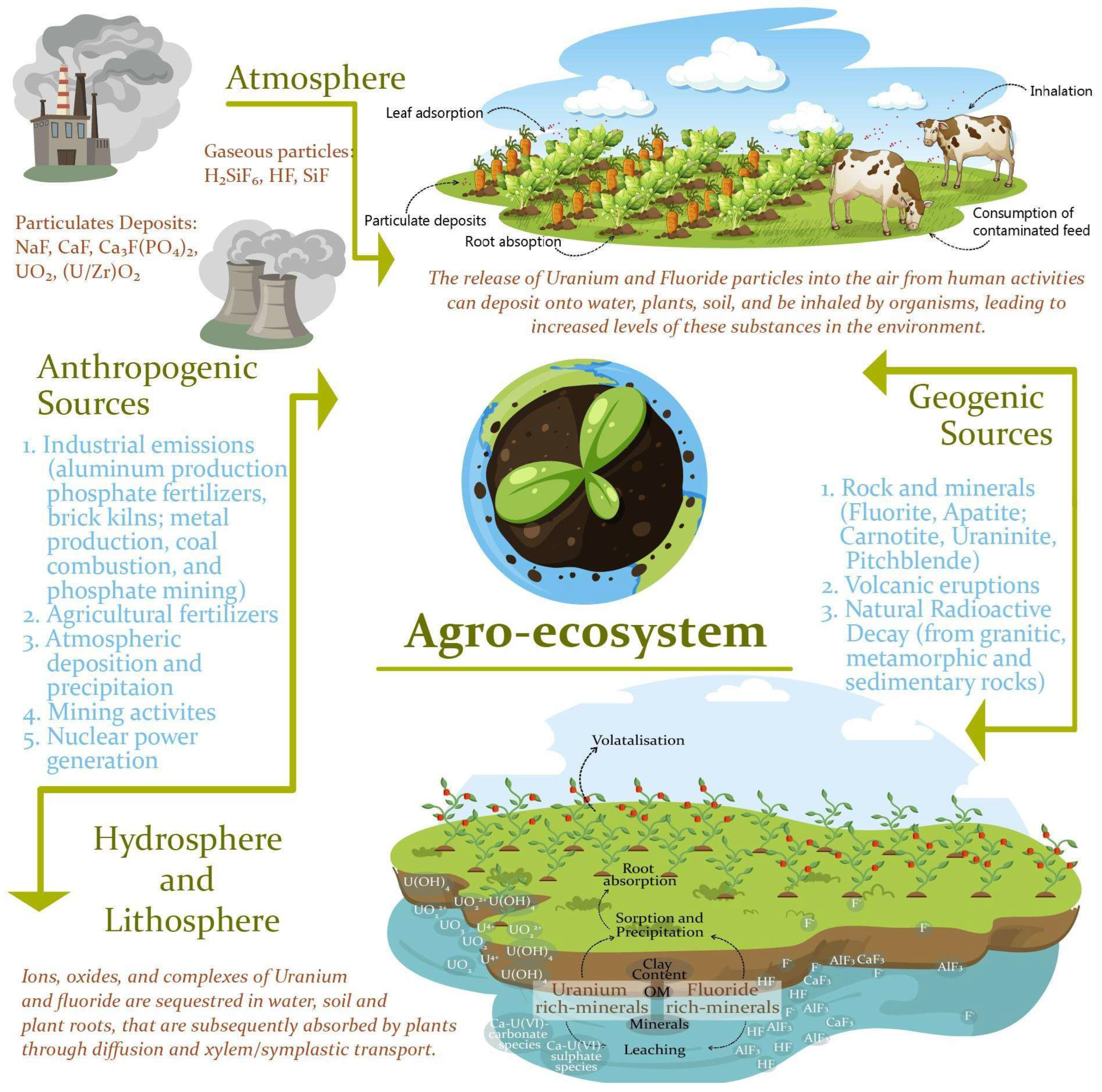 Sustainability 15 13895 g001 Sustainability 15 13895 g001
