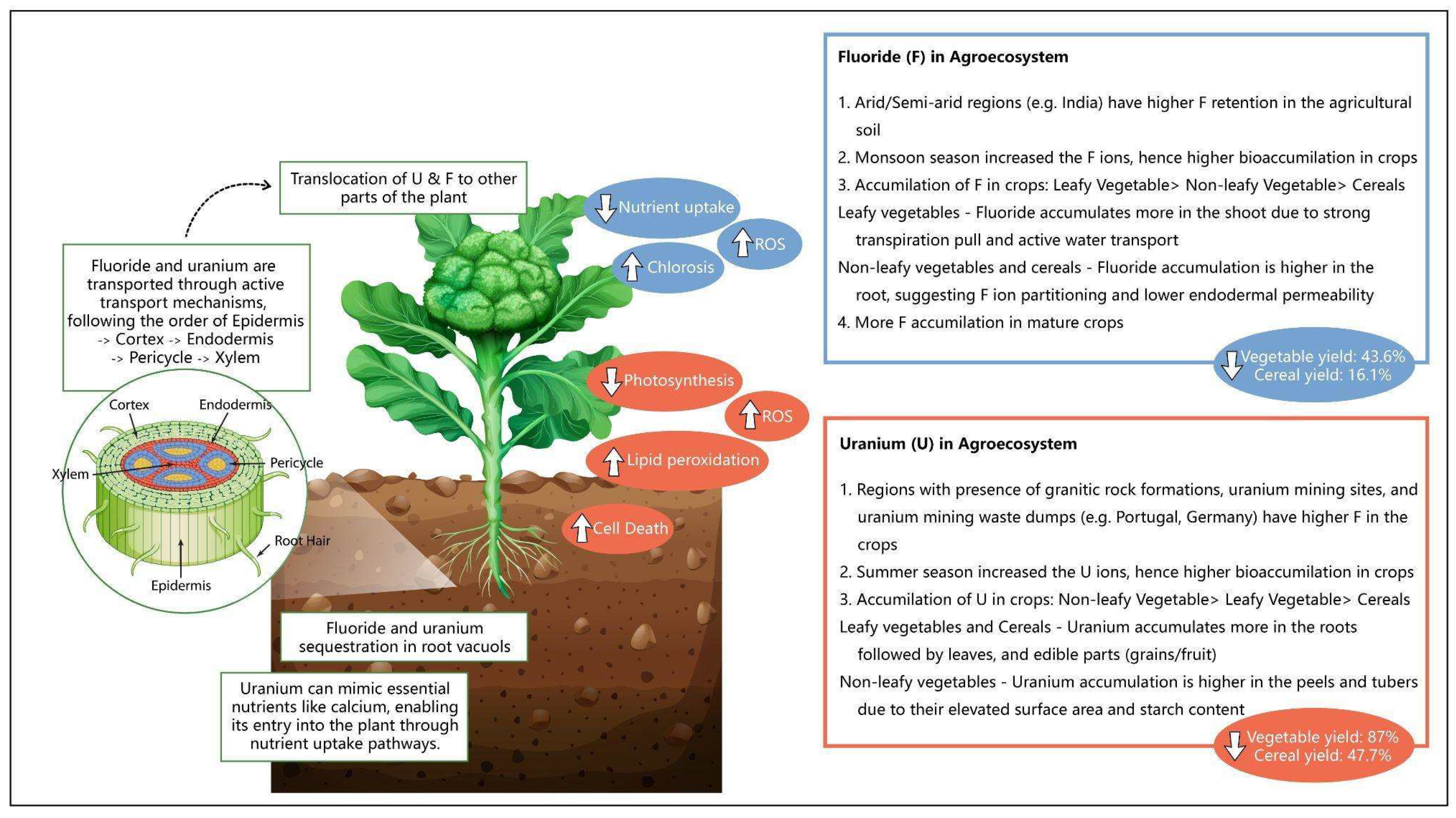 Sustainability 15 13895 g006 Sustainability 15 13895 g006