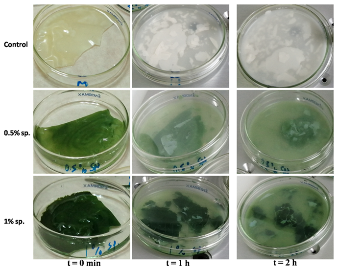 Sustainability 15 13909 g001