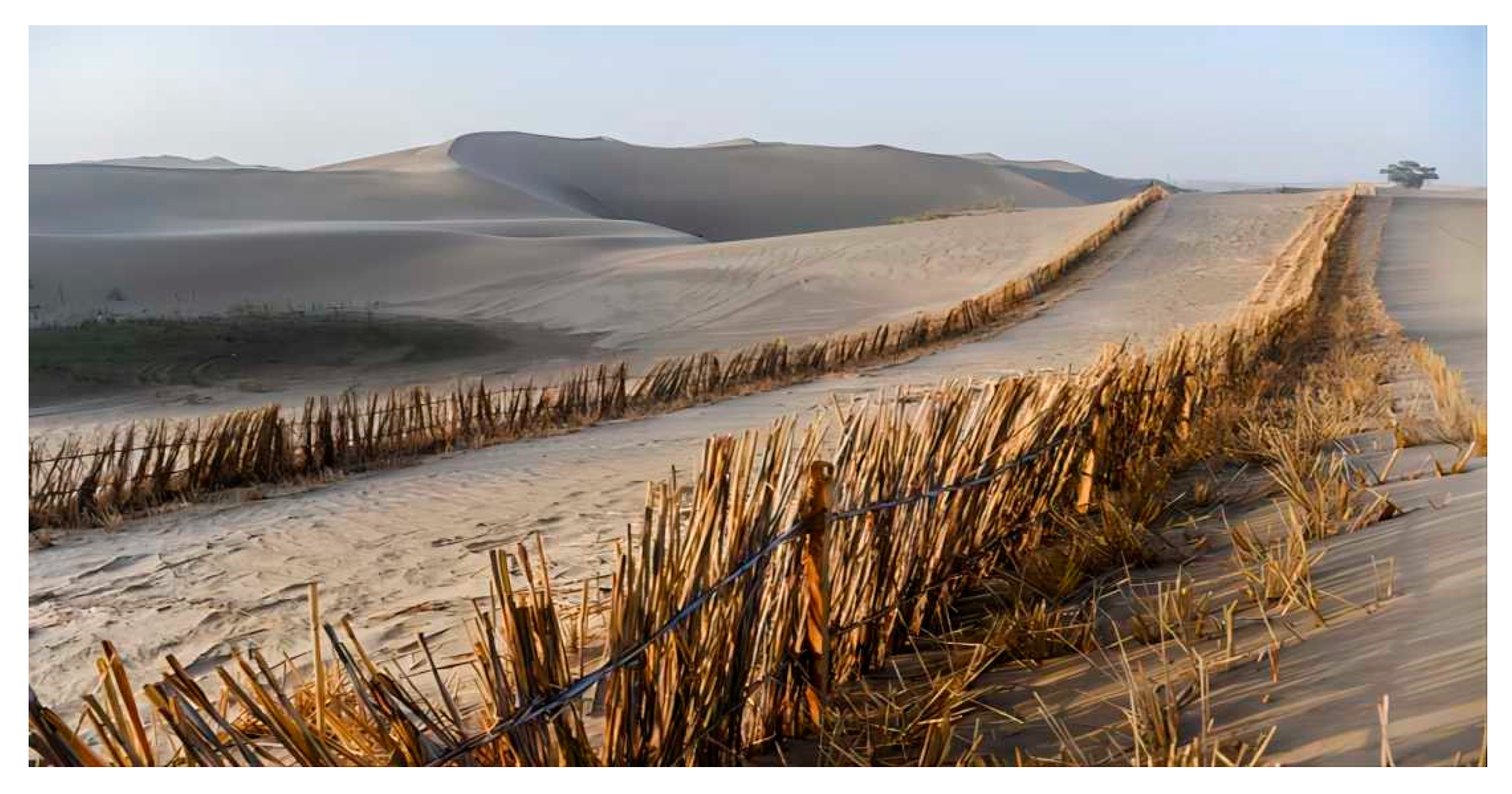 Sustainability 15 13920 g001