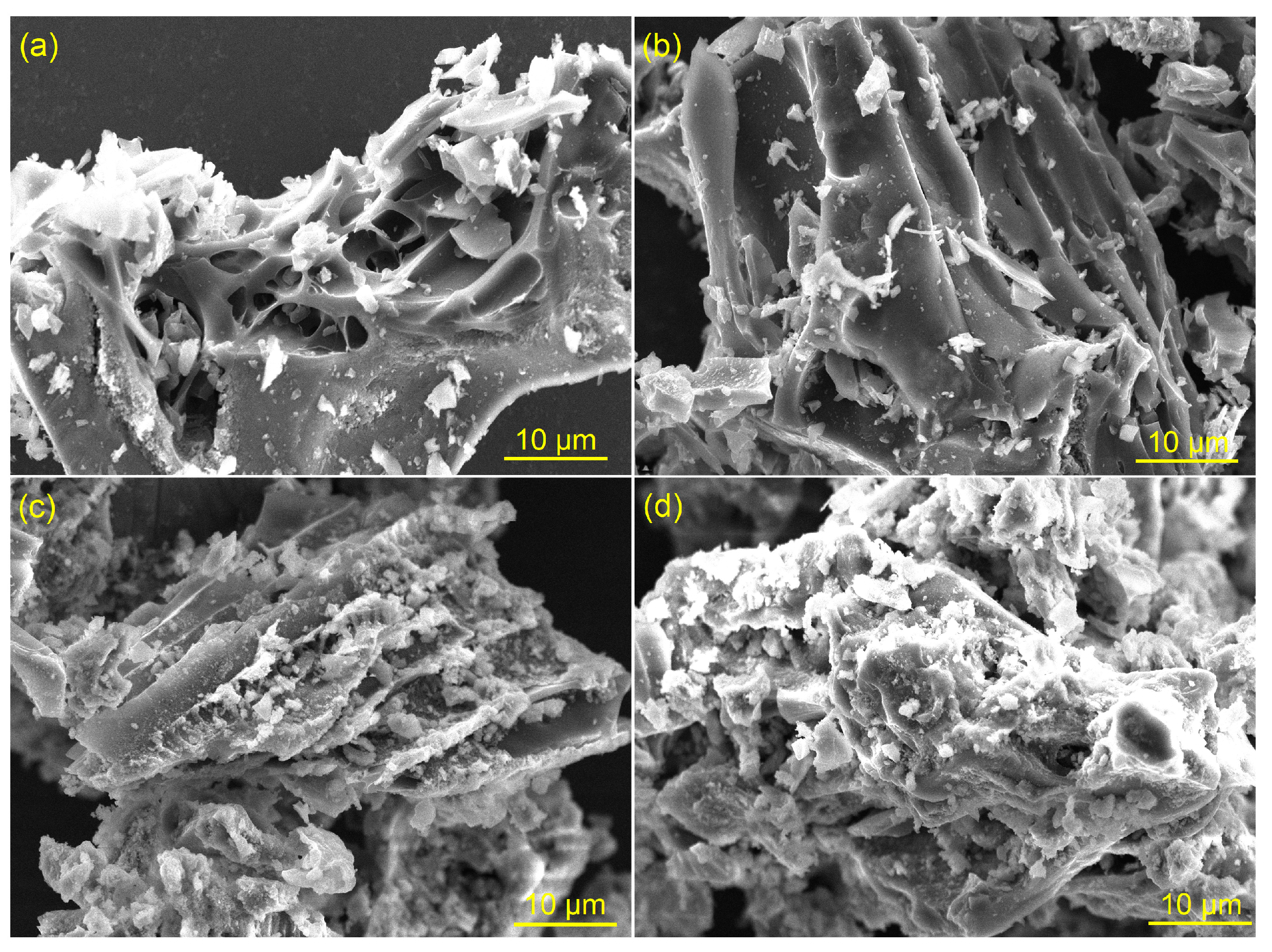 Sustainability 15 13984 g001