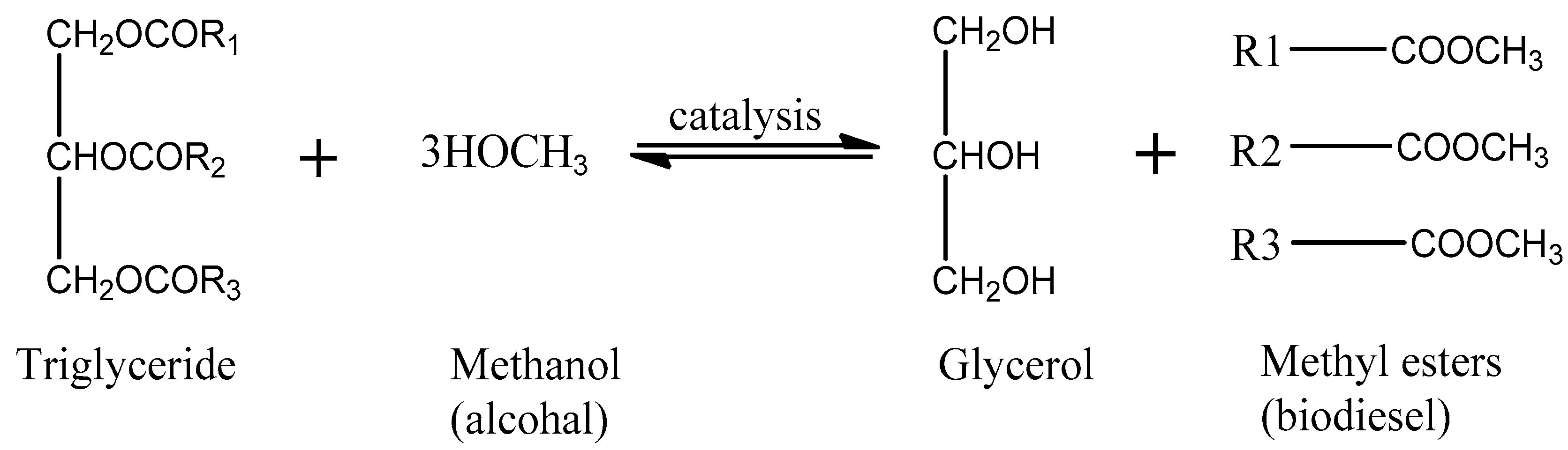 Sustainability 15 14029 g002