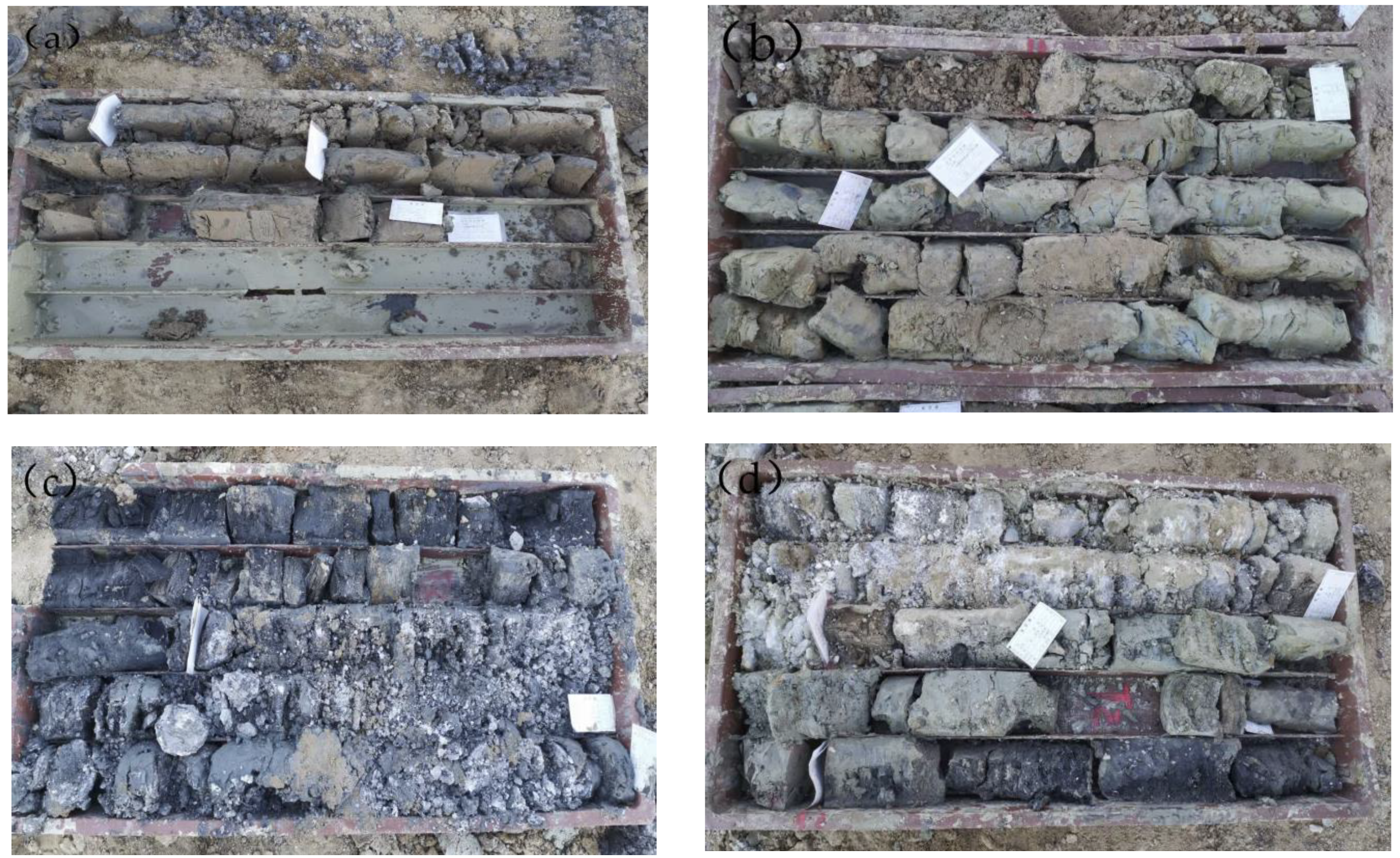 Sustainability 15 14067 g004