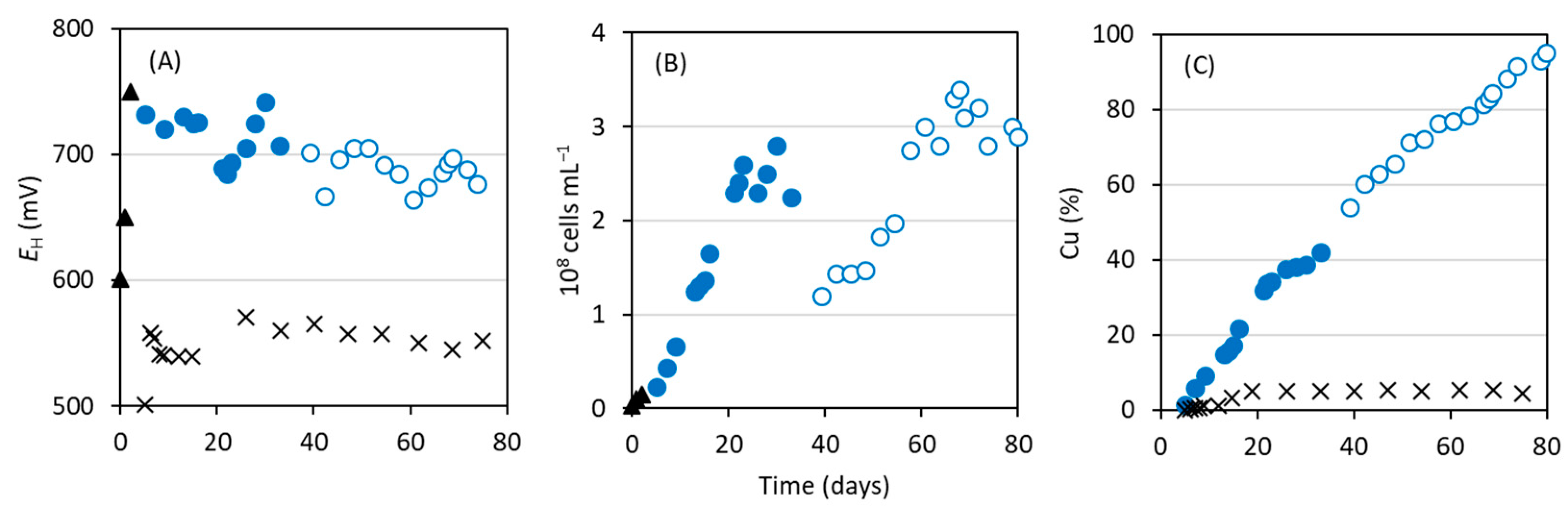 Sustainability 15 14068 g002