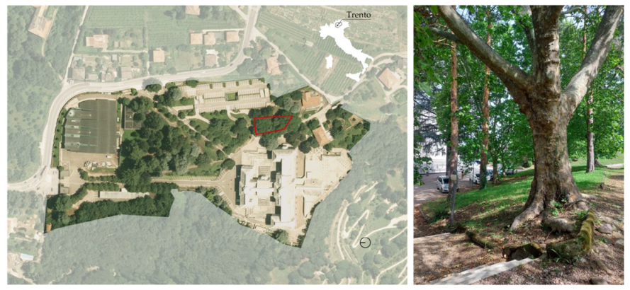 Sustainability 15 14072 g002