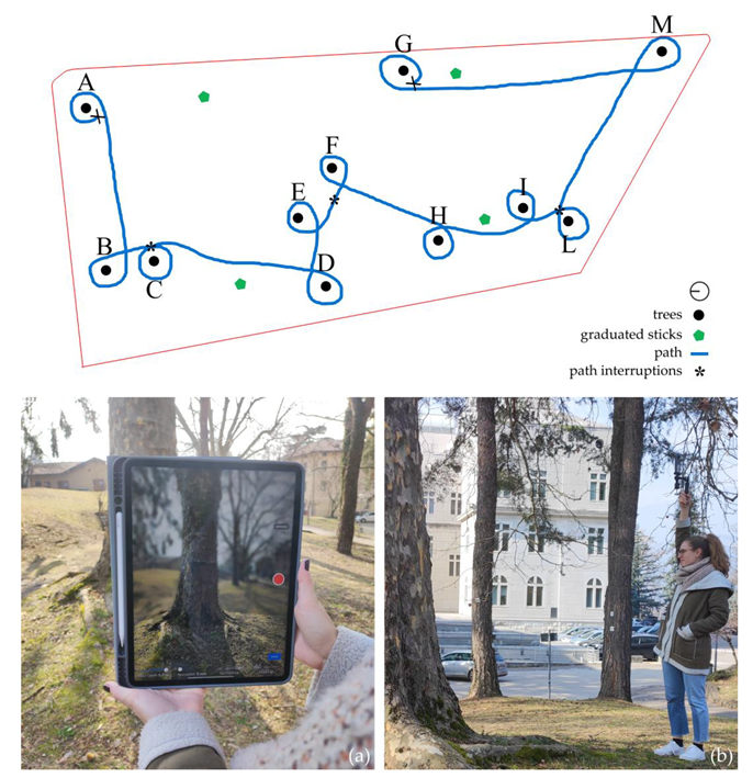 Sustainability 15 14072 g003