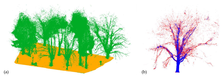 Sustainability 15 14072 g006