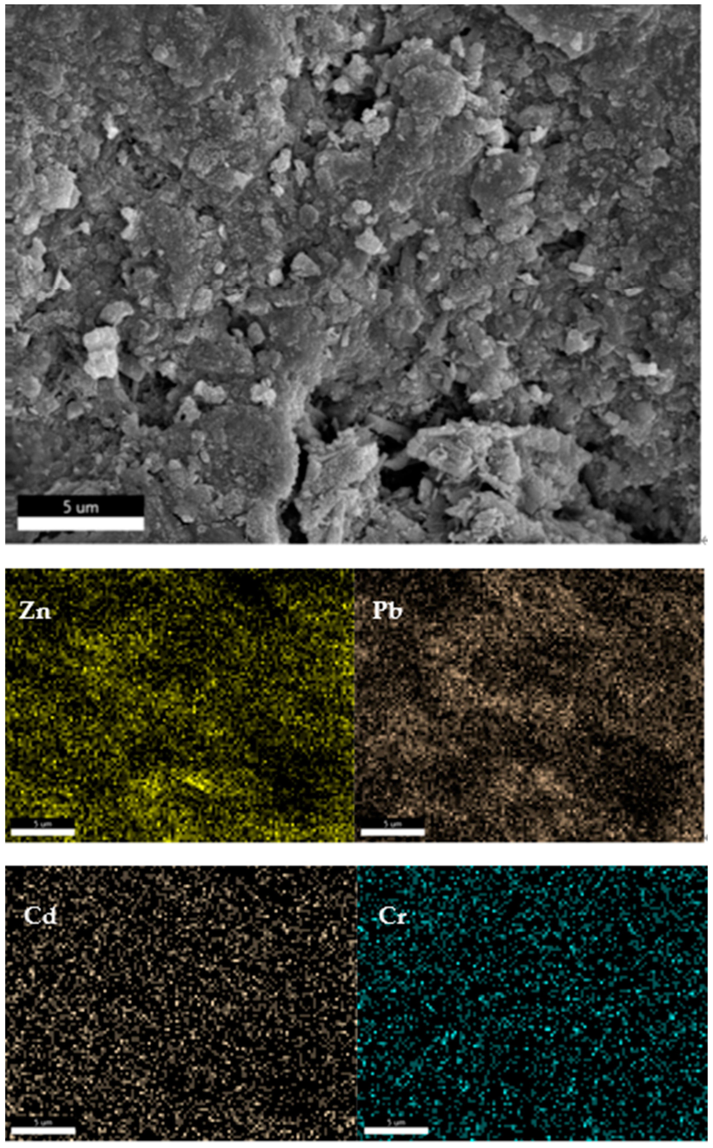 Sustainability 15 14110 g012