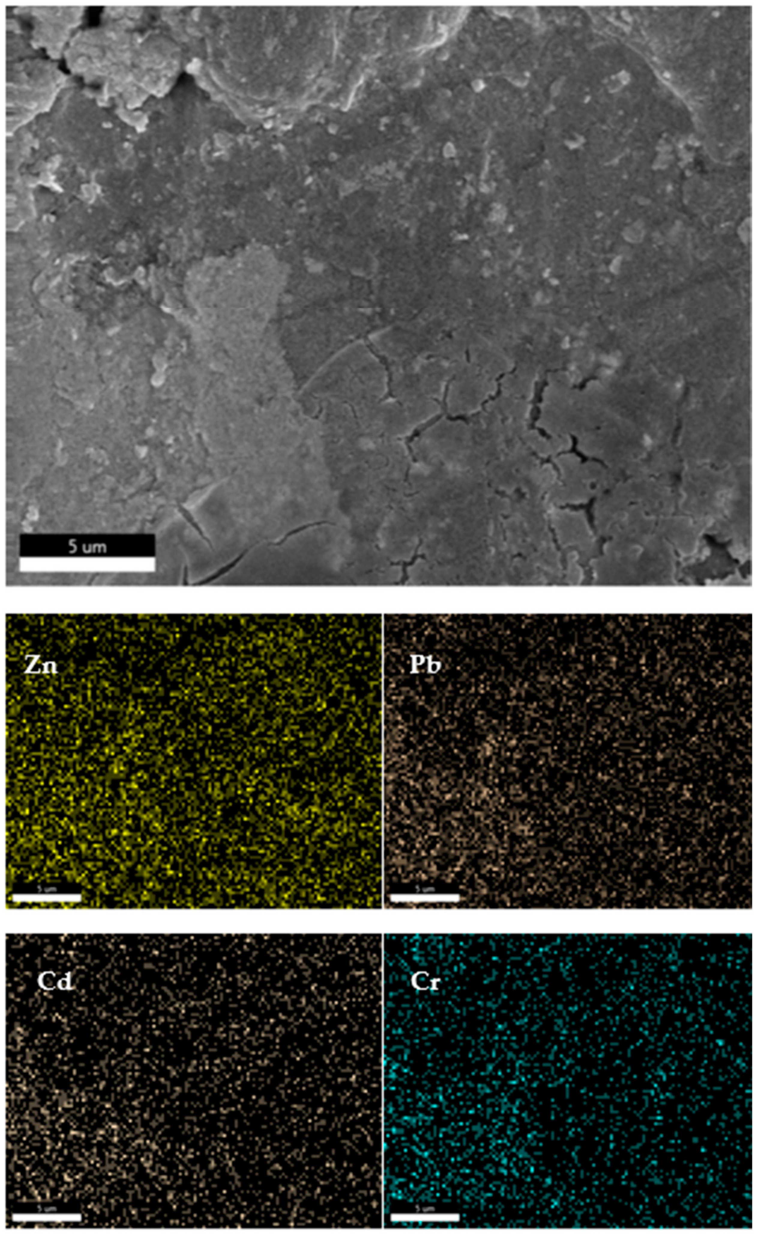 Sustainability 15 14110 g013