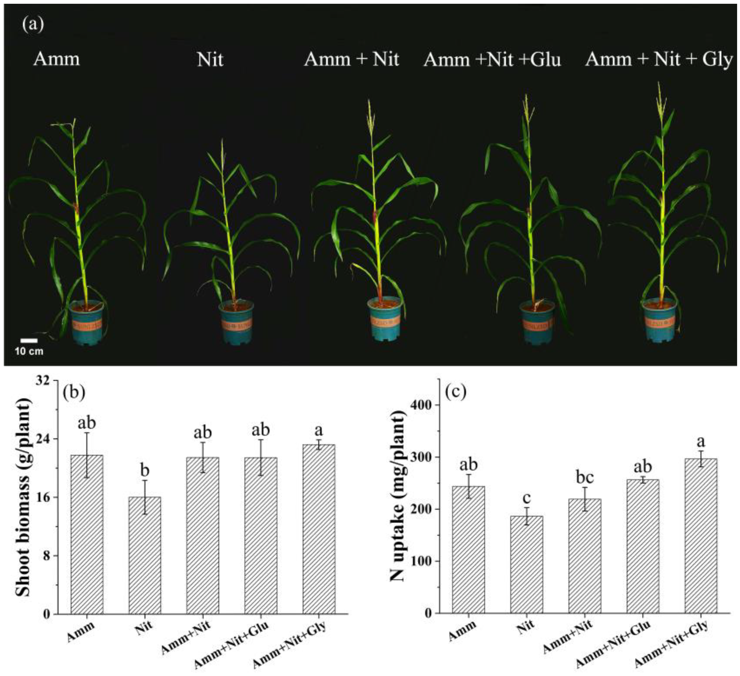 Sustainability 15 14122 g001