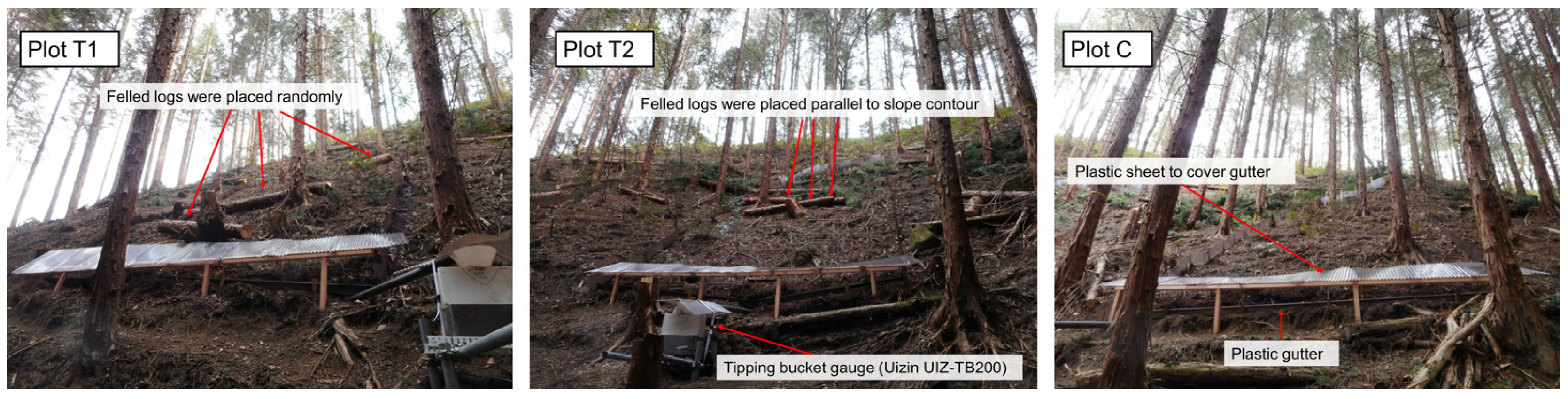 Sustainability 15 14124 g002 Sustainability 15 14124 g002