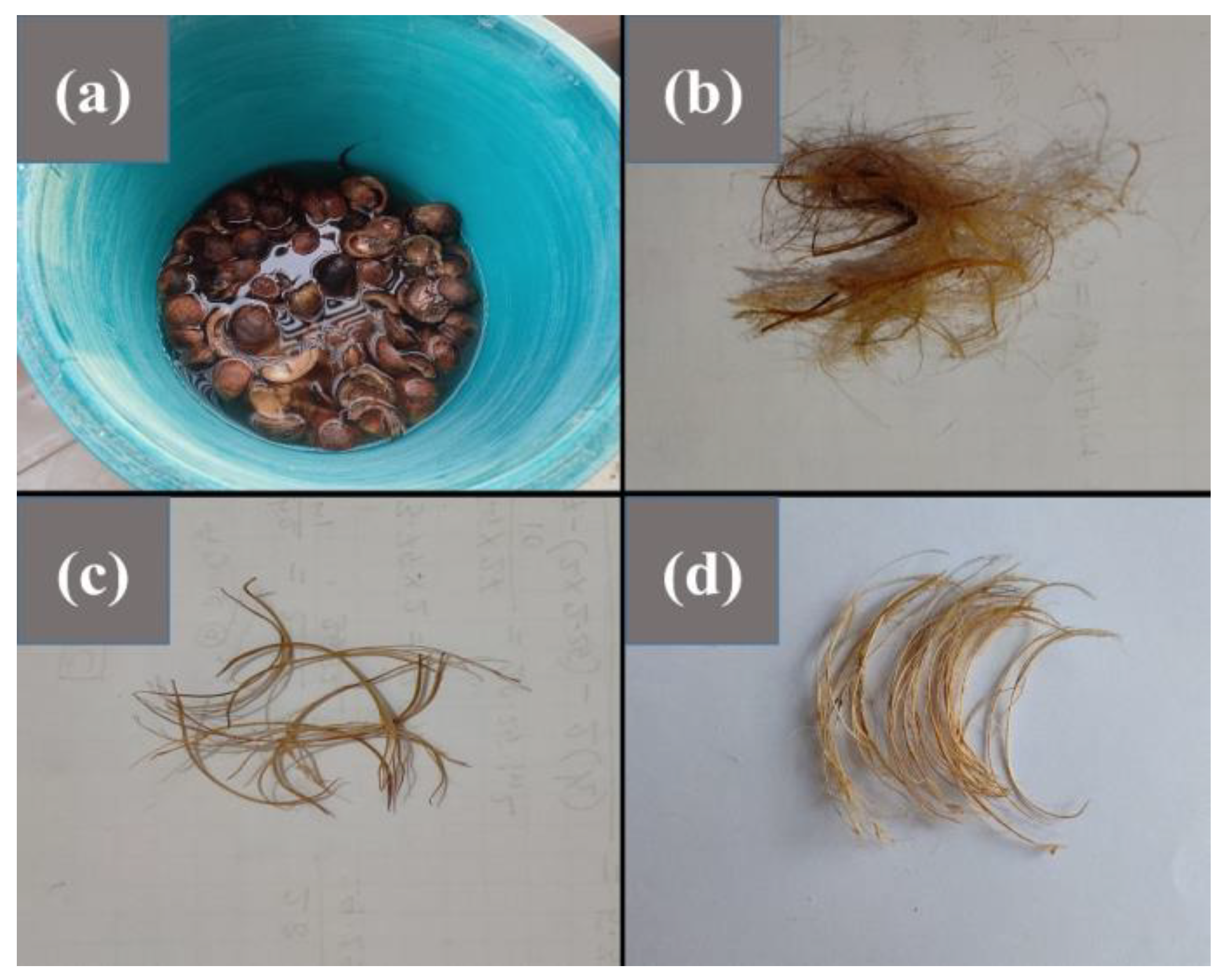 Sustainability 15 14131 g003