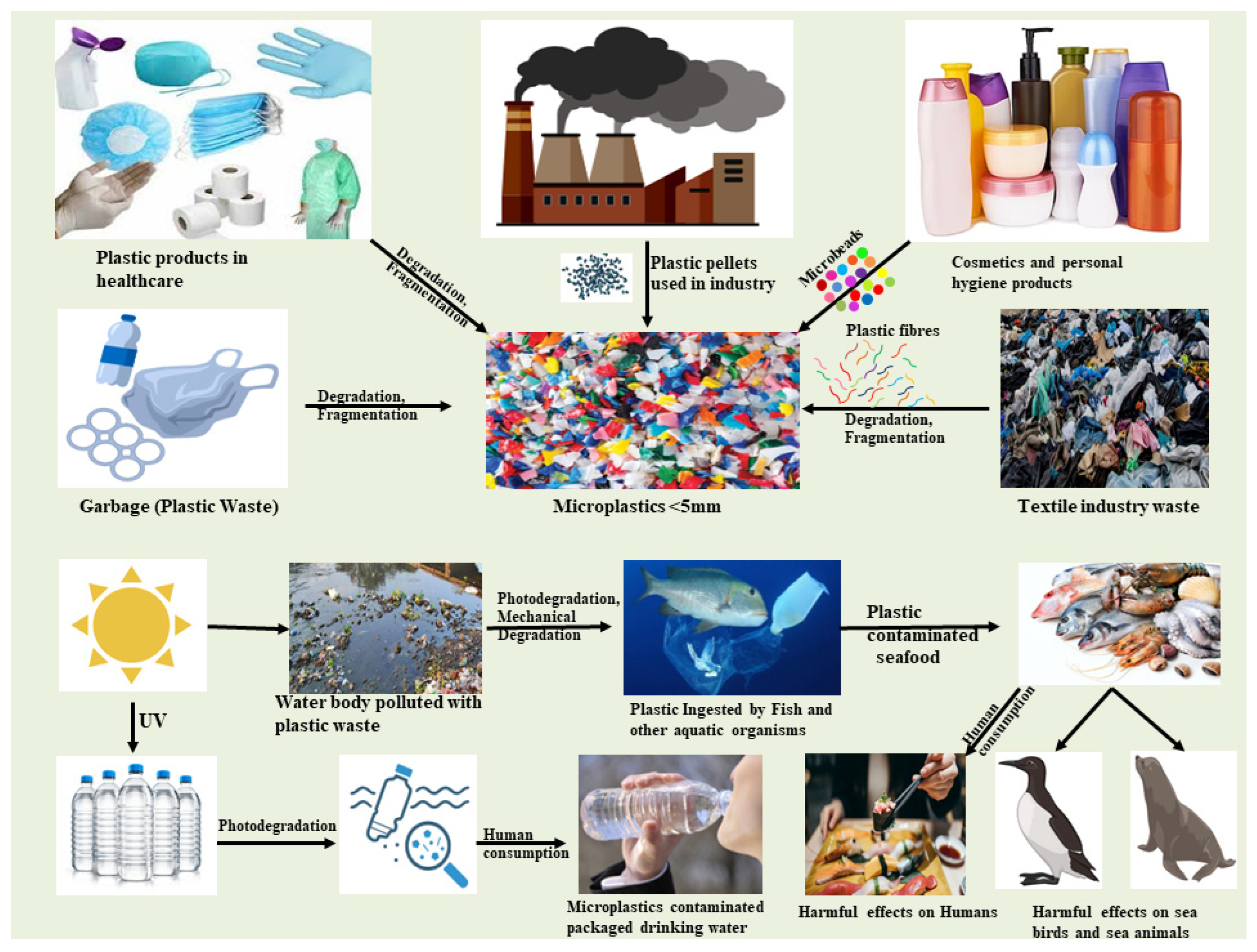 Sustainability 15 14184 g001