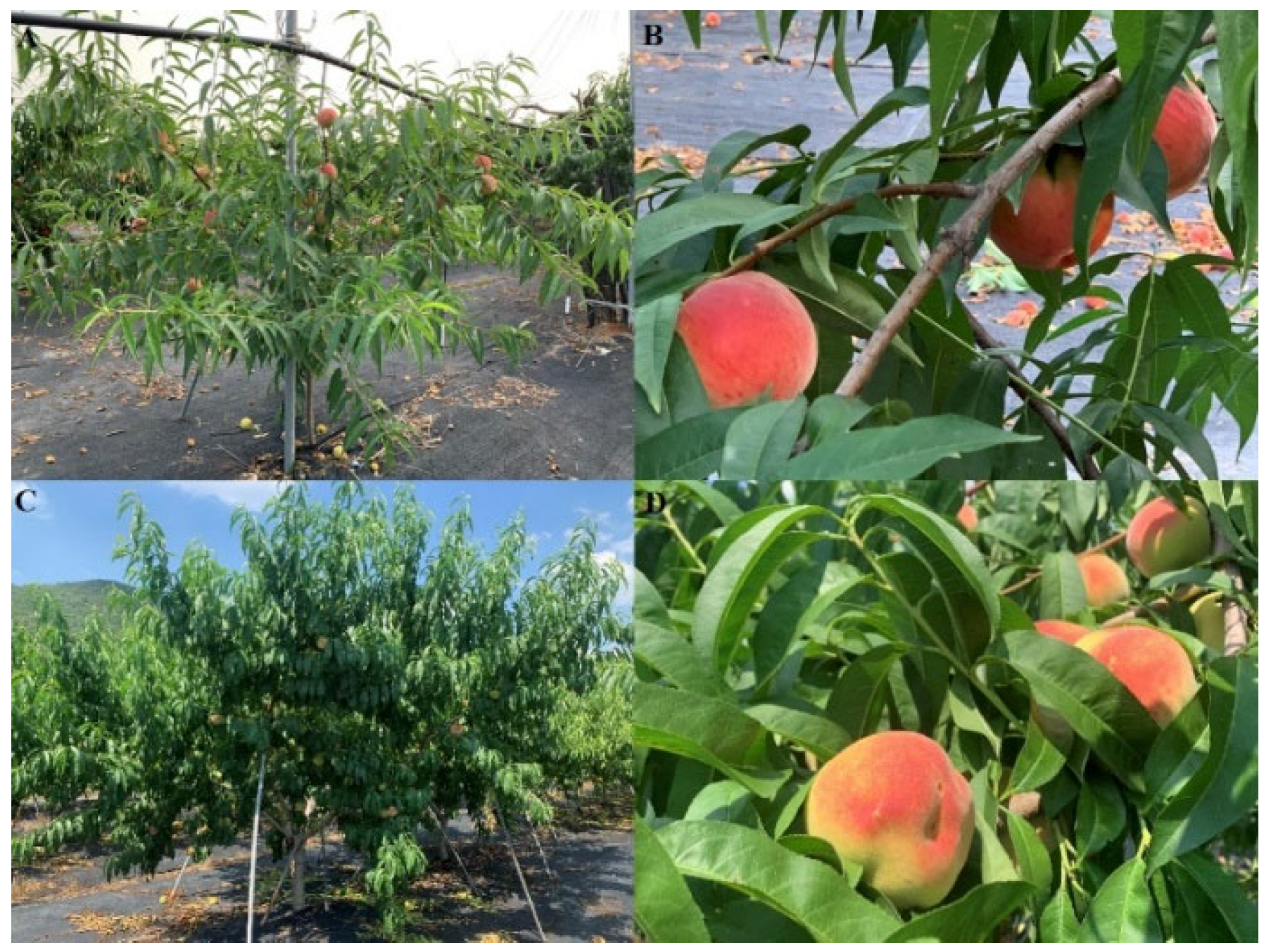 Sustainability 15 14242 g001 Sustainability 15 14242 g001