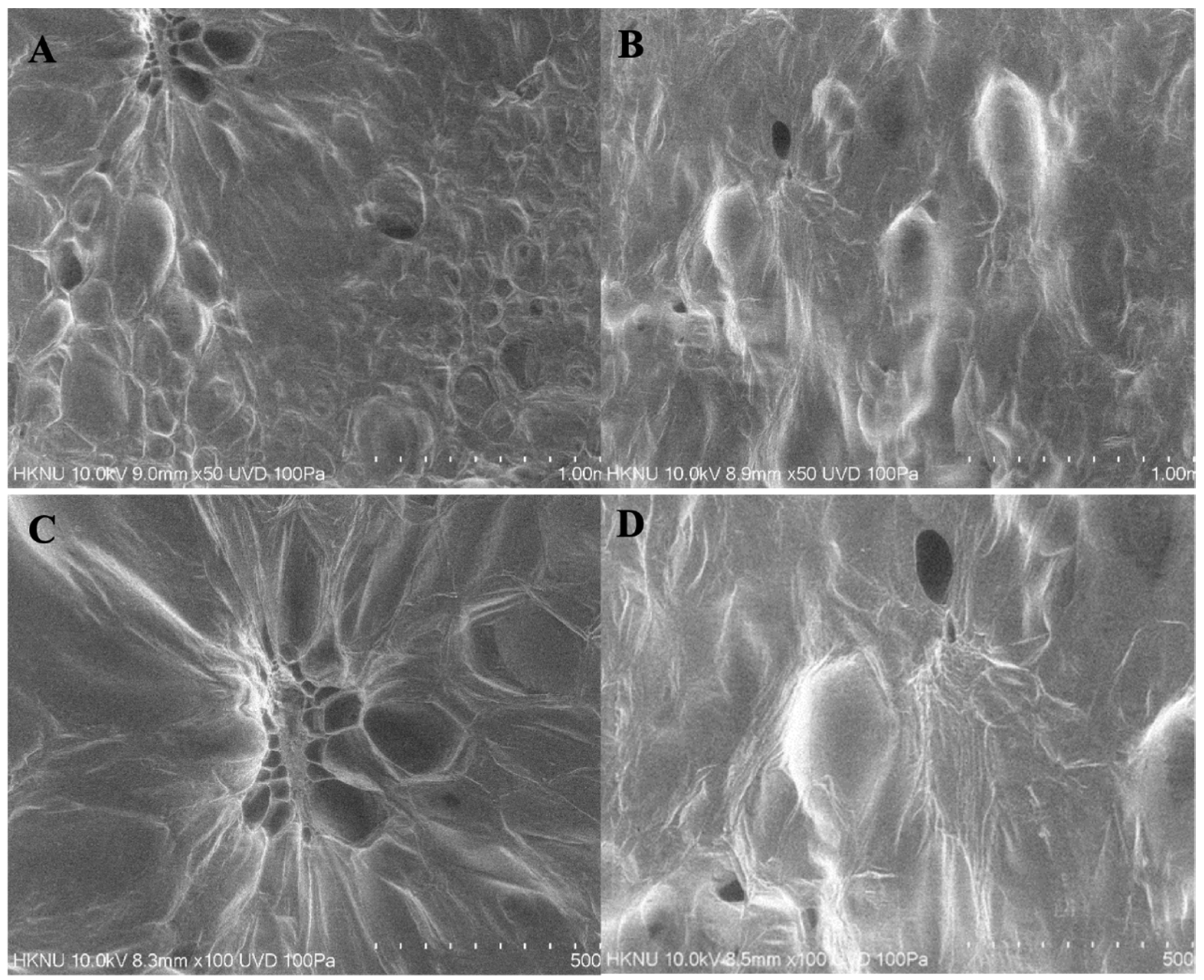Sustainability 15 14242 g002 Sustainability 15 14242 g002