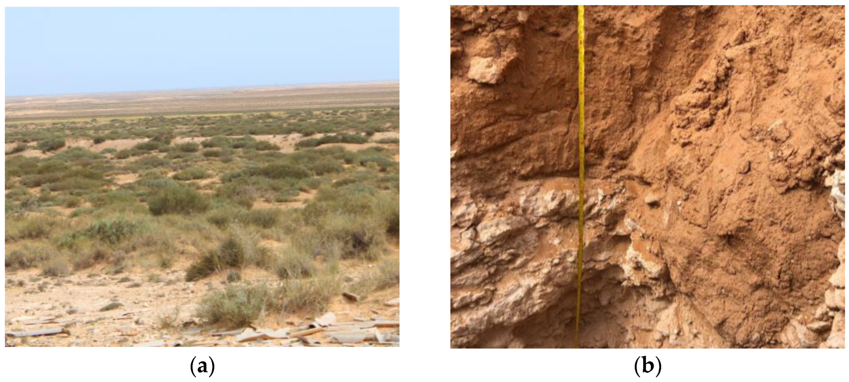 Sustainability 15 14256 g002